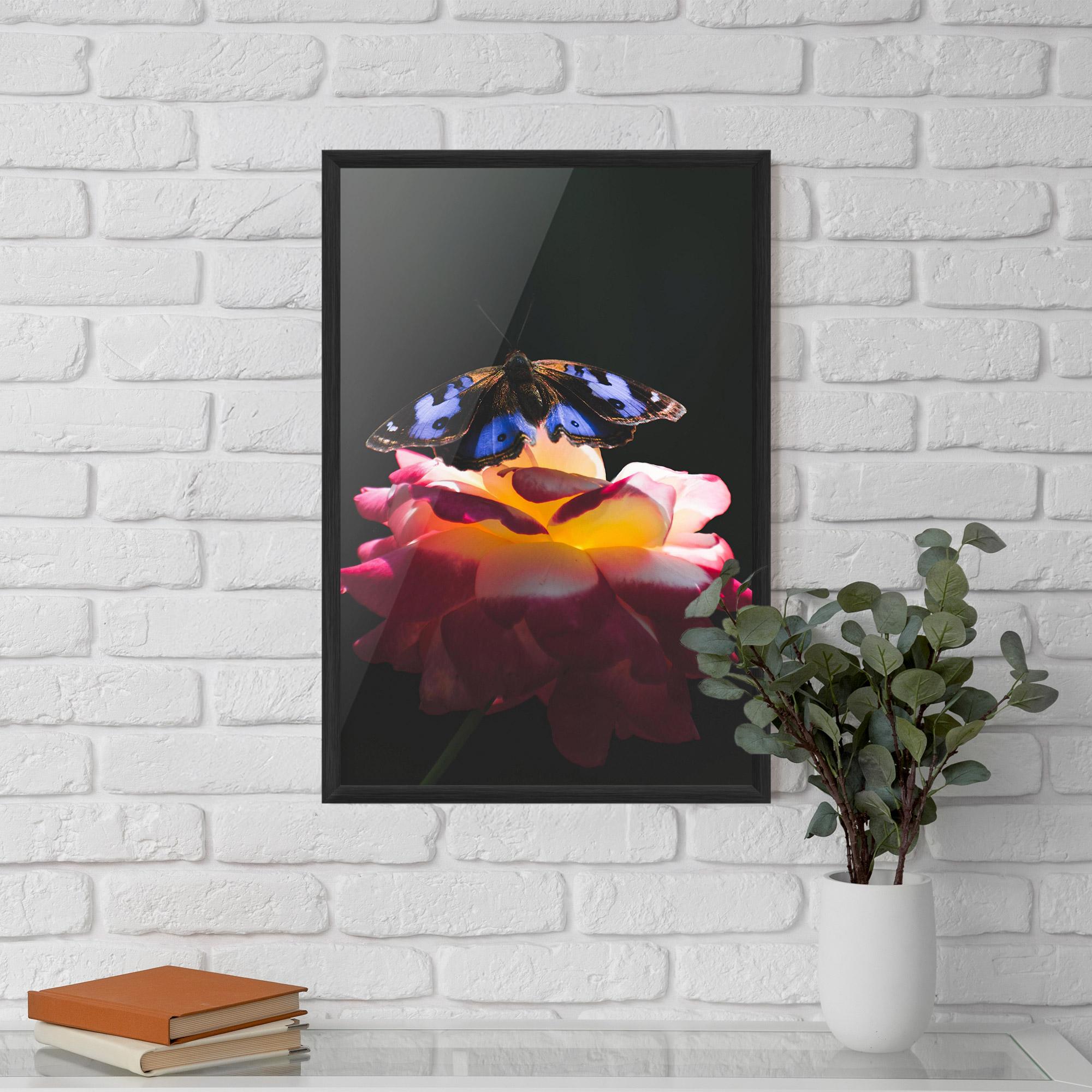 Poster Înrămat Rose Butterfly mockup 5