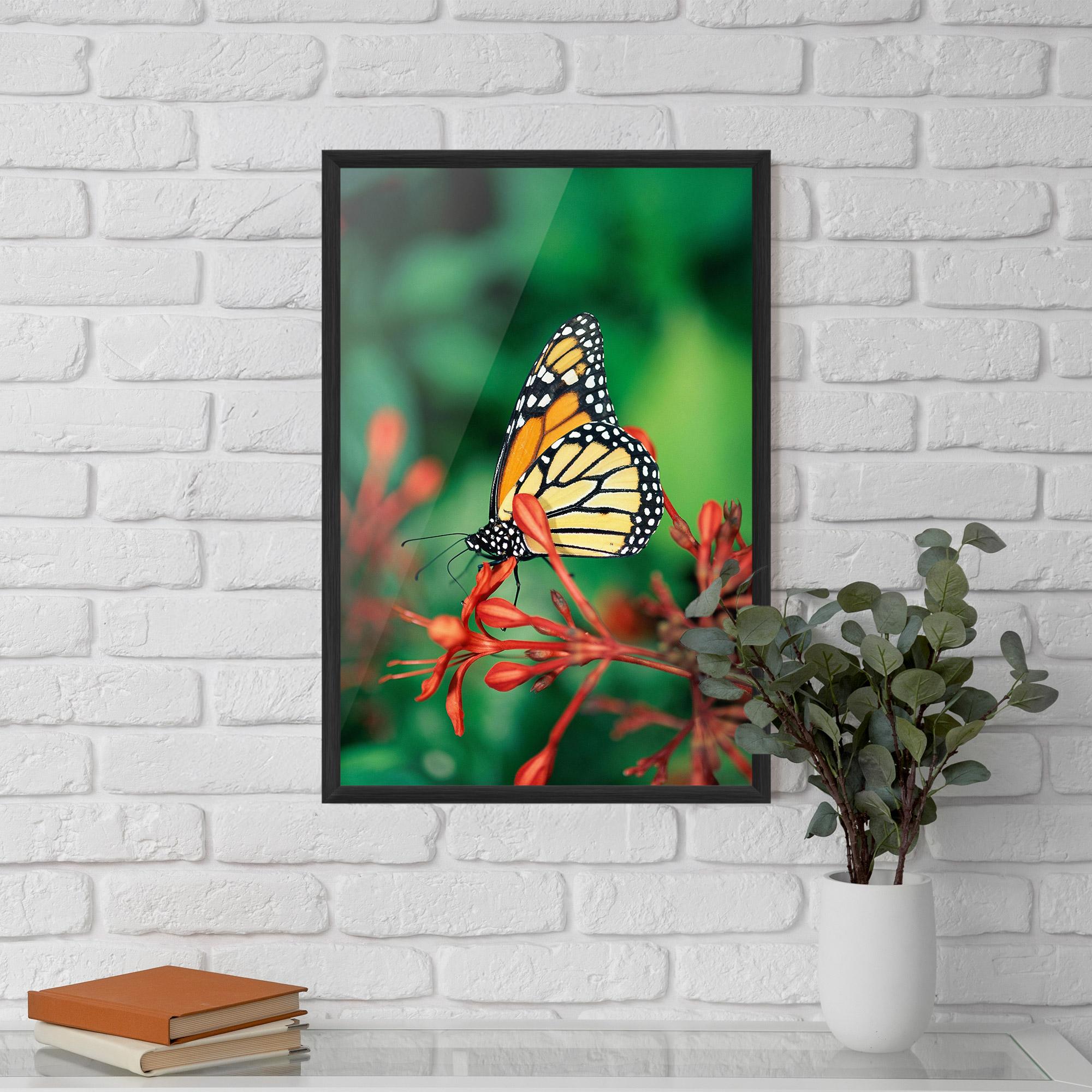 Poster Înrămat Small Orange Butterfly mockup 5