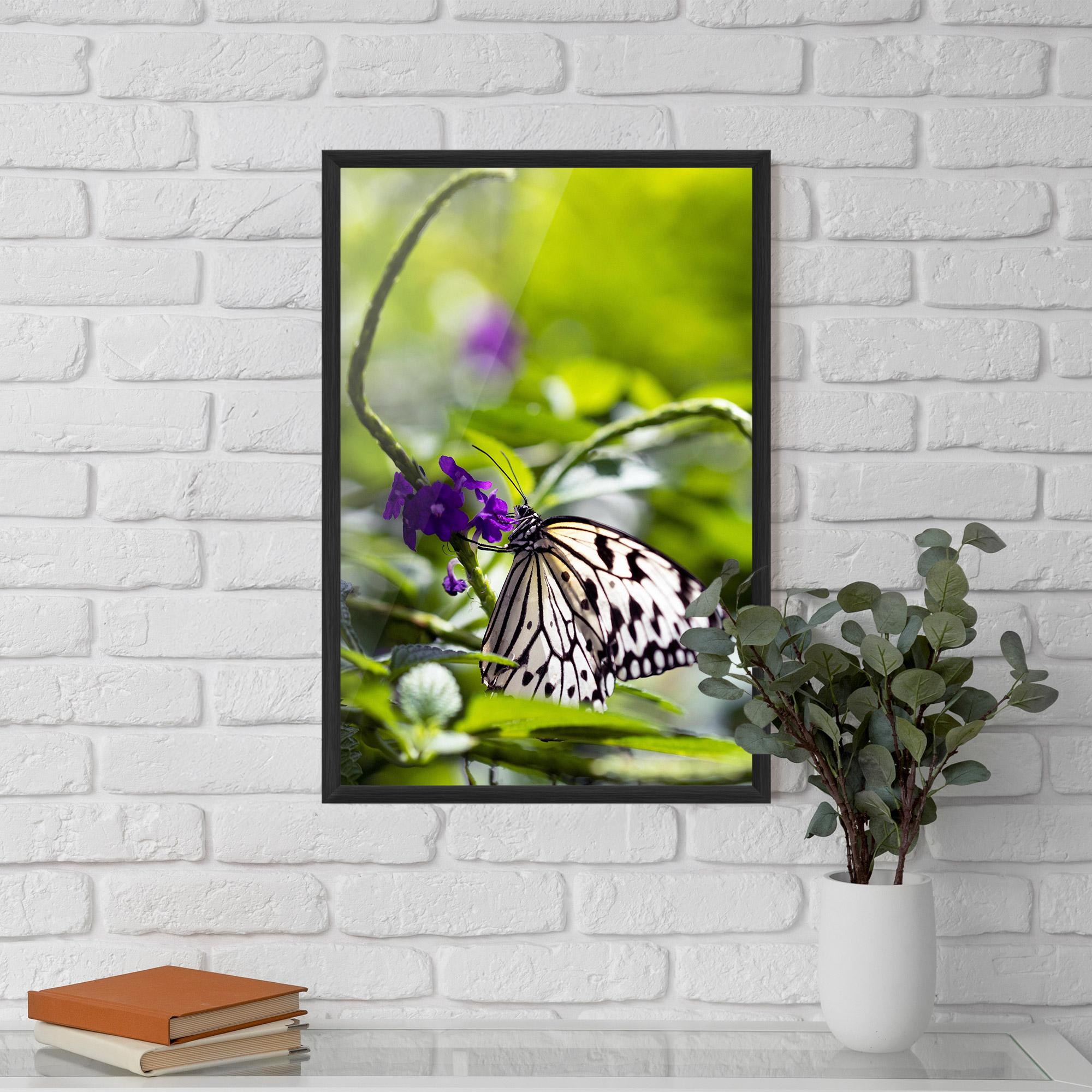 Poster Înrămat White Black Butterfly mockup 5