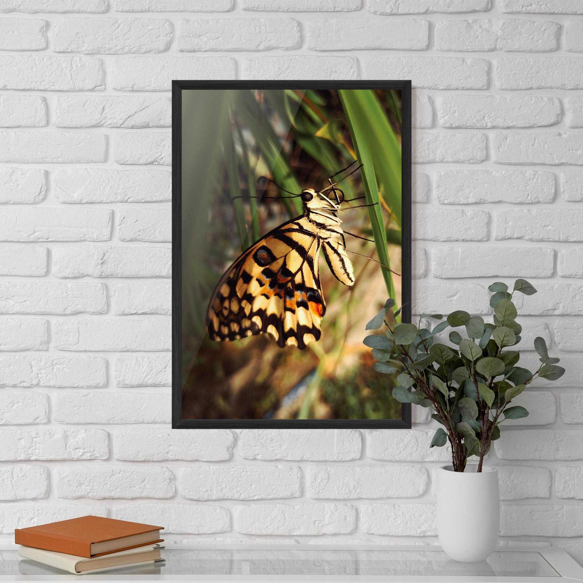 Poster Înrămat Wild Brown Butterfly mockup 5