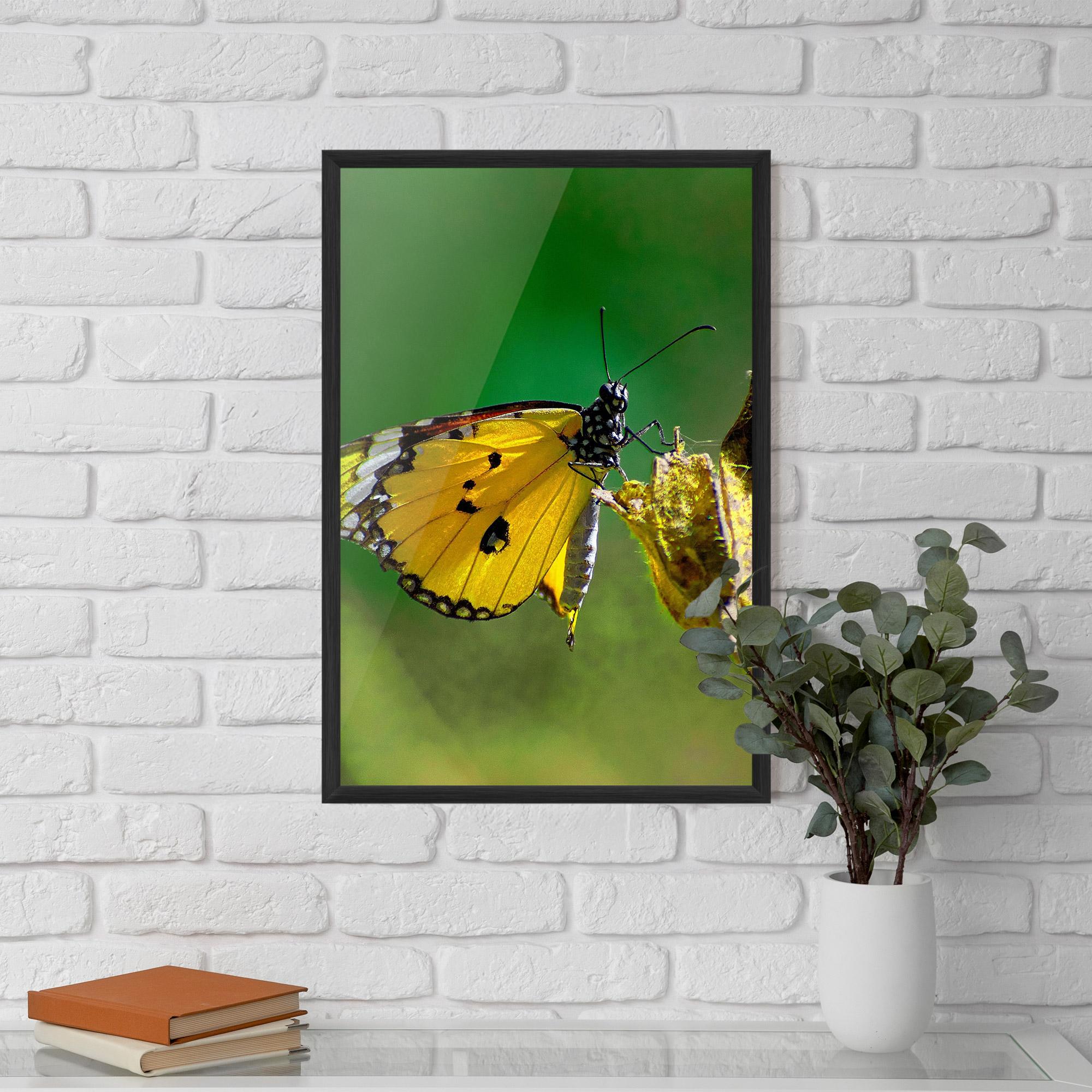 Poster Înrămat Yellow White Butterfly mockup 5