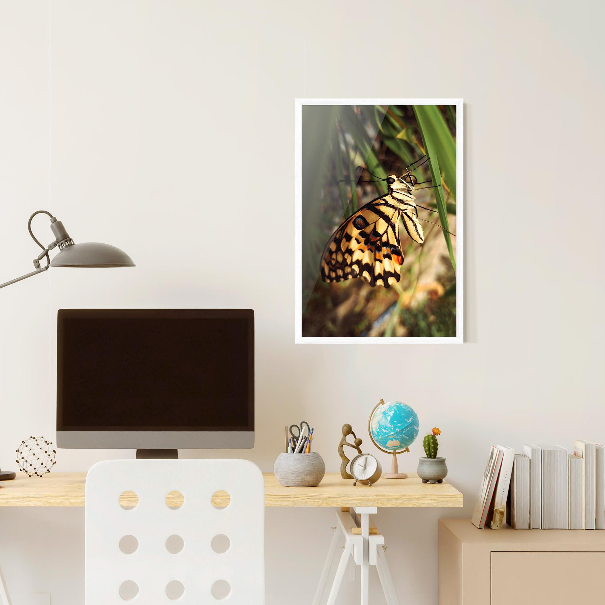 Poster Înrămat Wild Brown Butterfly mockup 6