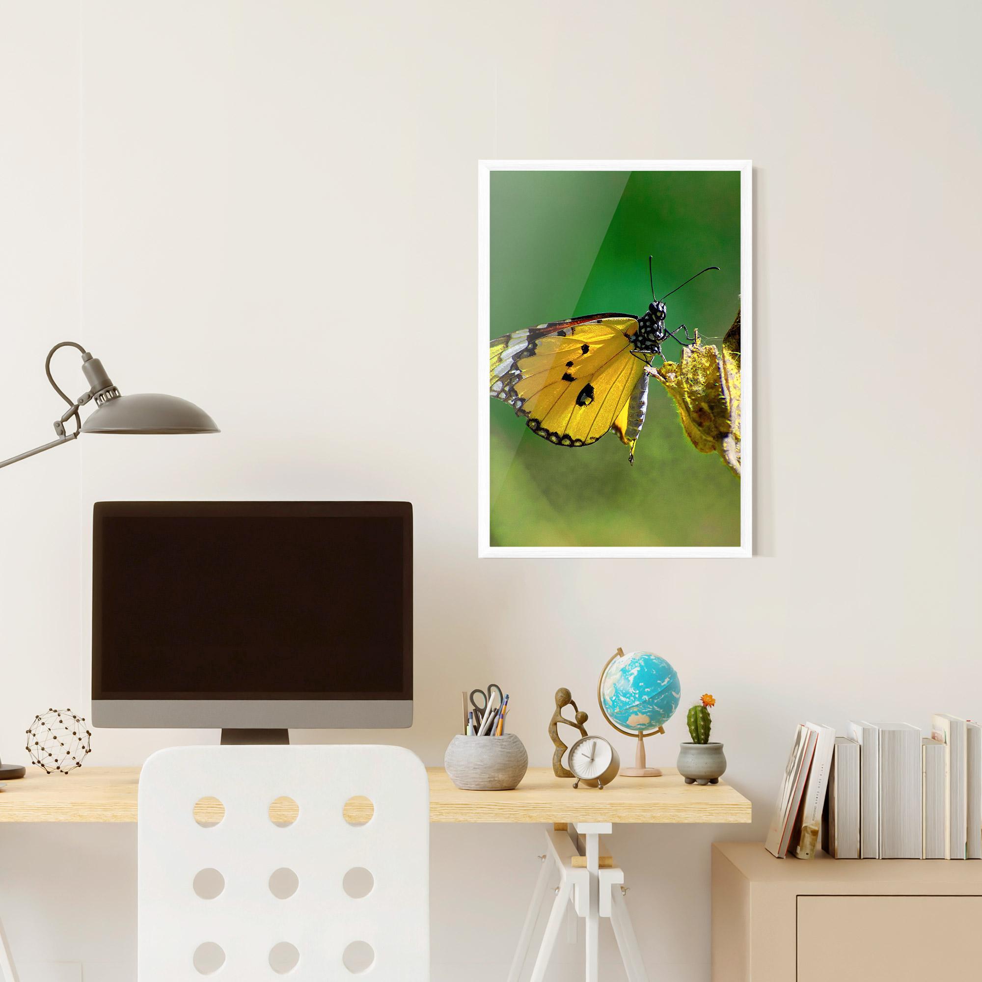 Poster Înrămat Yellow White Butterfly mockup 6