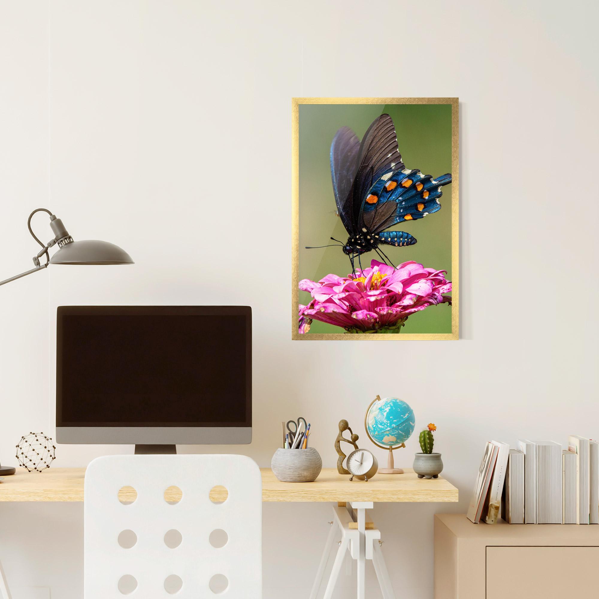 Poster Înrămat Blue Grey Butterfly mockup 6