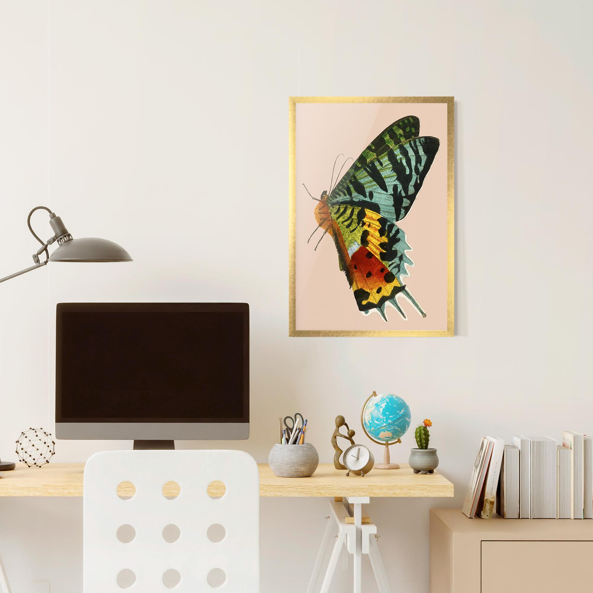 Poster Înrămat Butterfly On Pink mockup 6