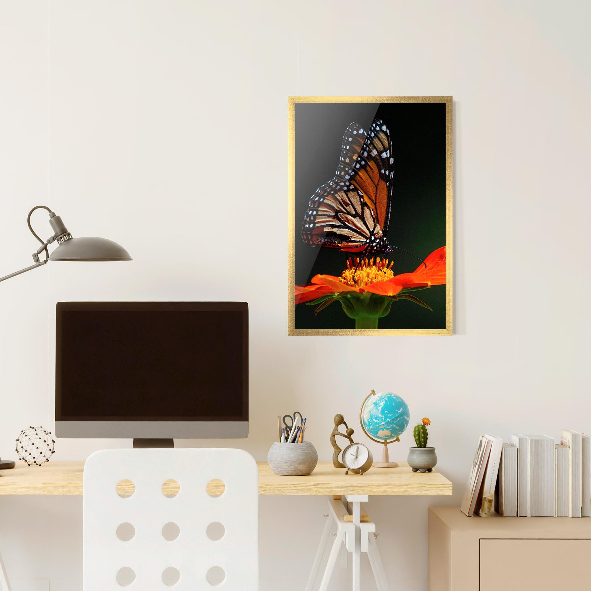Poster Înrămat Dark Orange Butterfy mockup 6