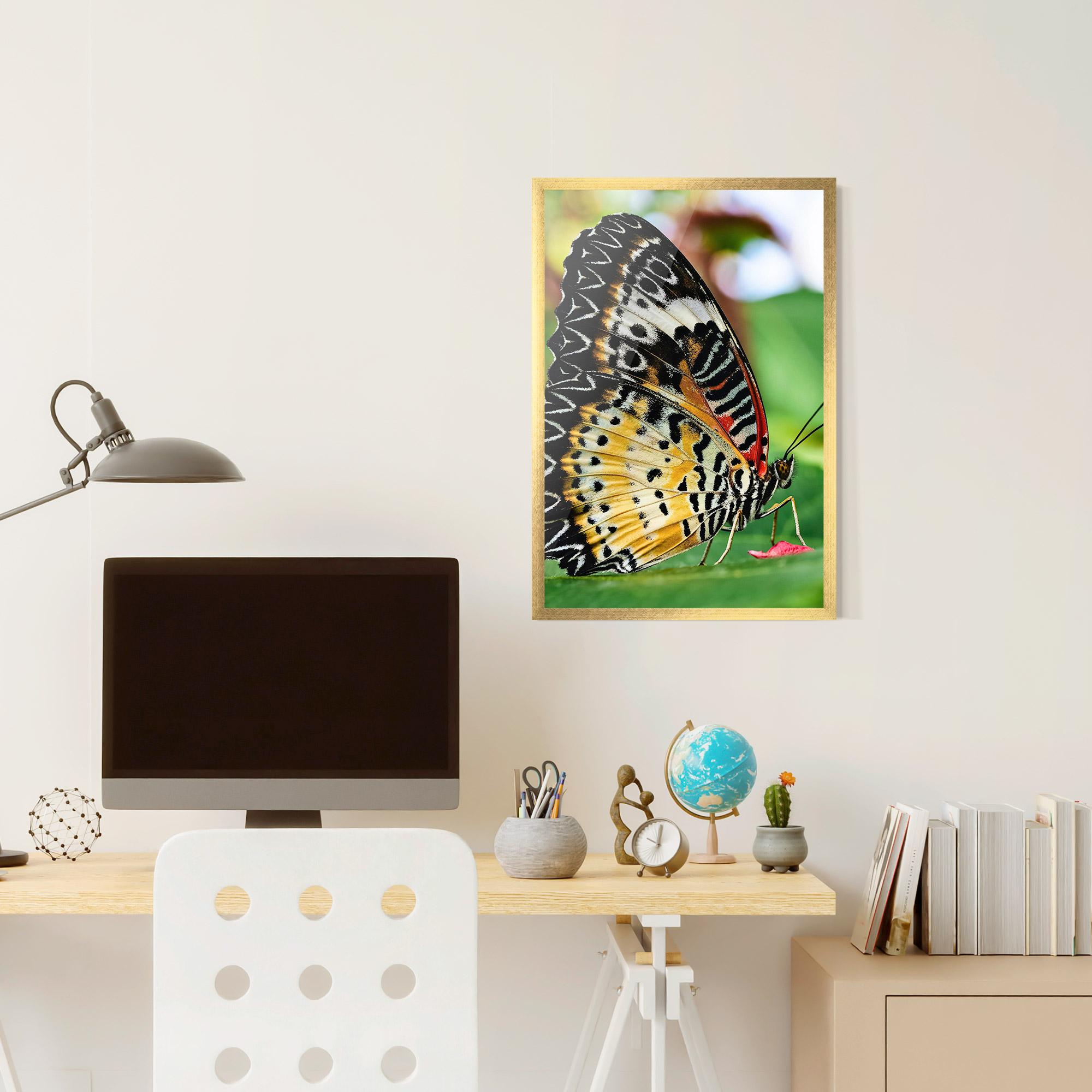 Poster Înrămat Pretty Colorful Butterfly mockup 6