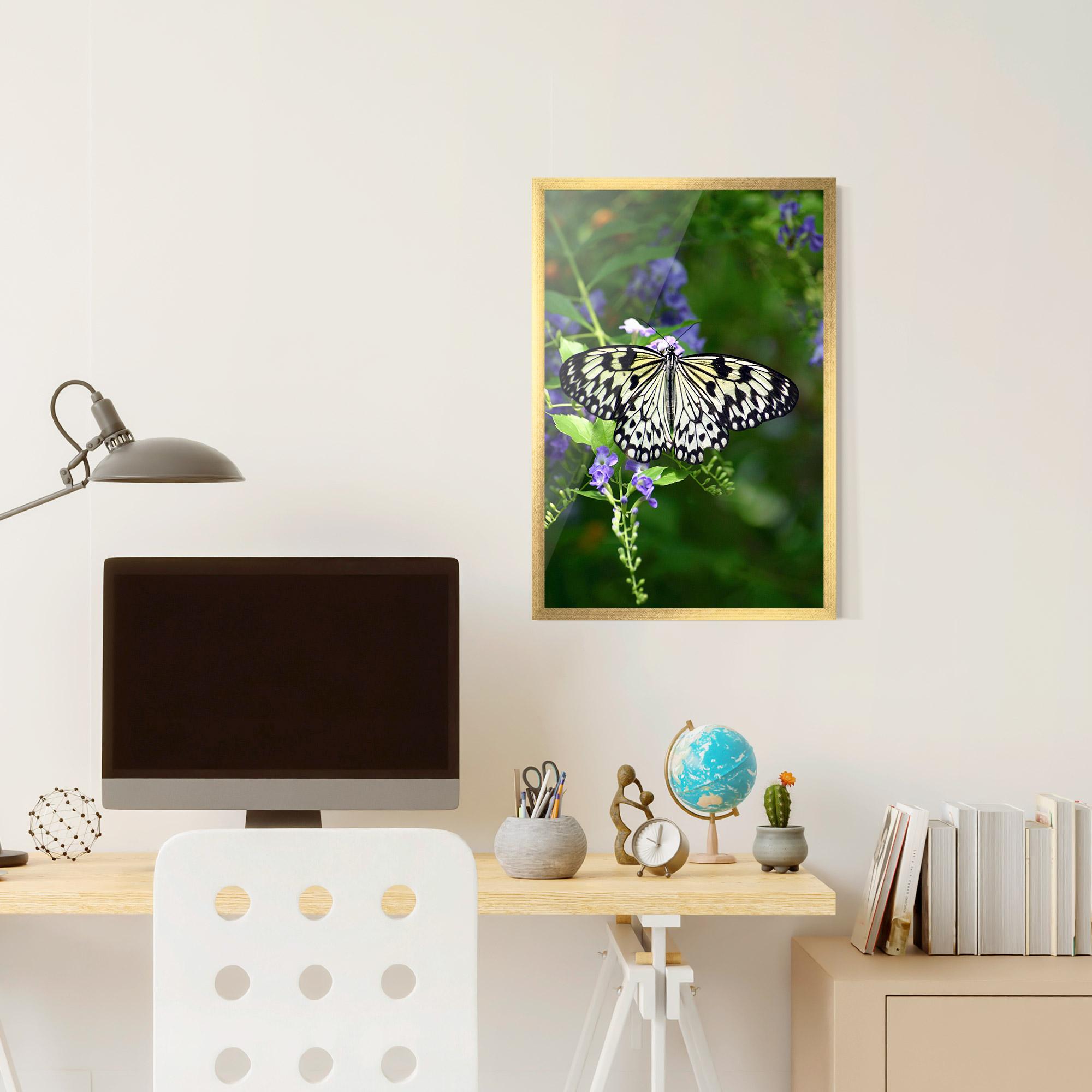 Poster Înrămat Pretty White Butterfly mockup 6