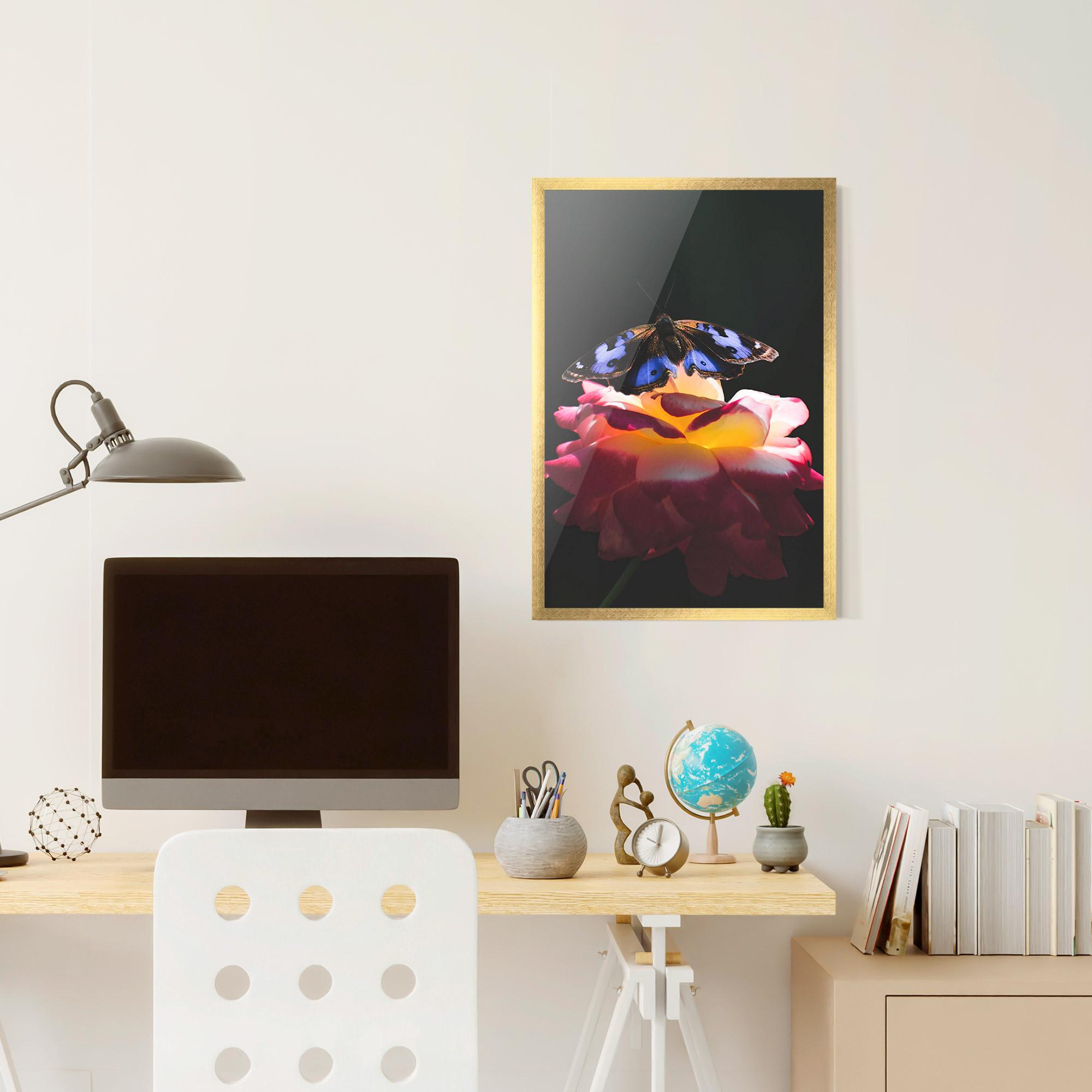 Poster Înrămat Rose Butterfly mockup 6
