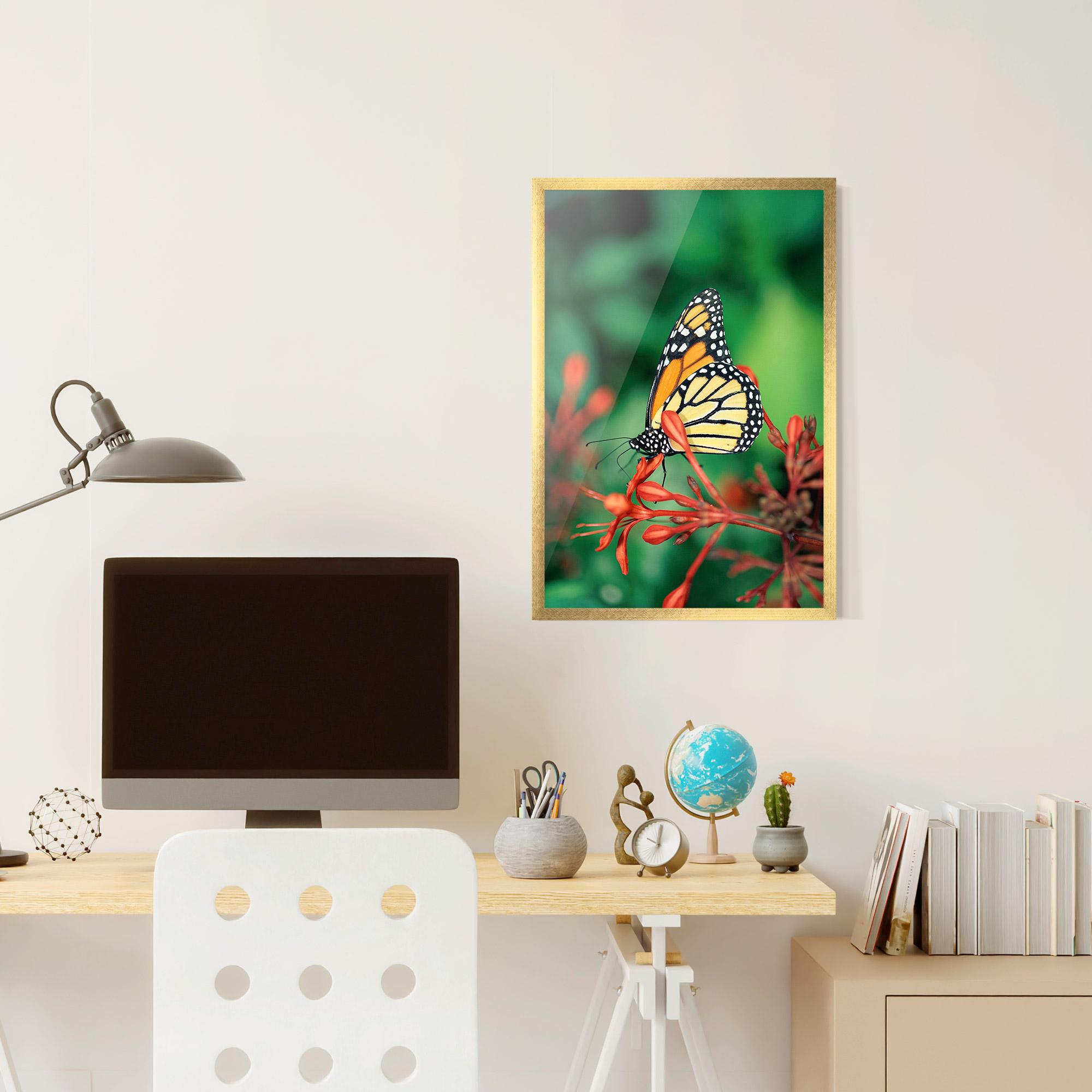 Poster Înrămat Small Orange Butterfly mockup 6