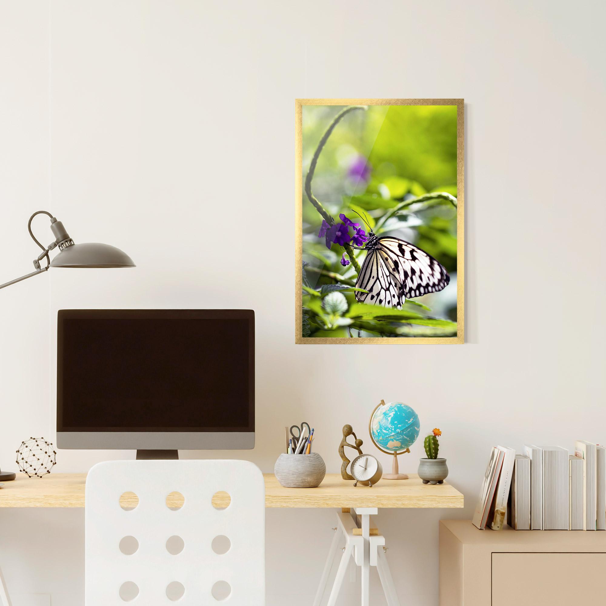 Poster Înrămat White Black Butterfly mockup 6
