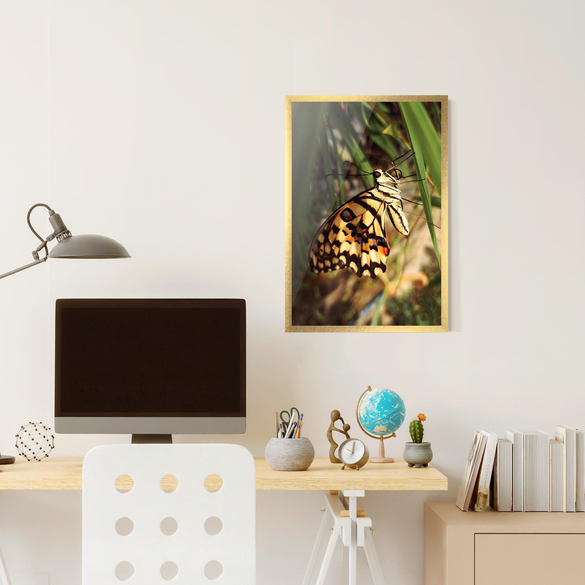 Poster Înrămat Wild Brown Butterfly mockup 6