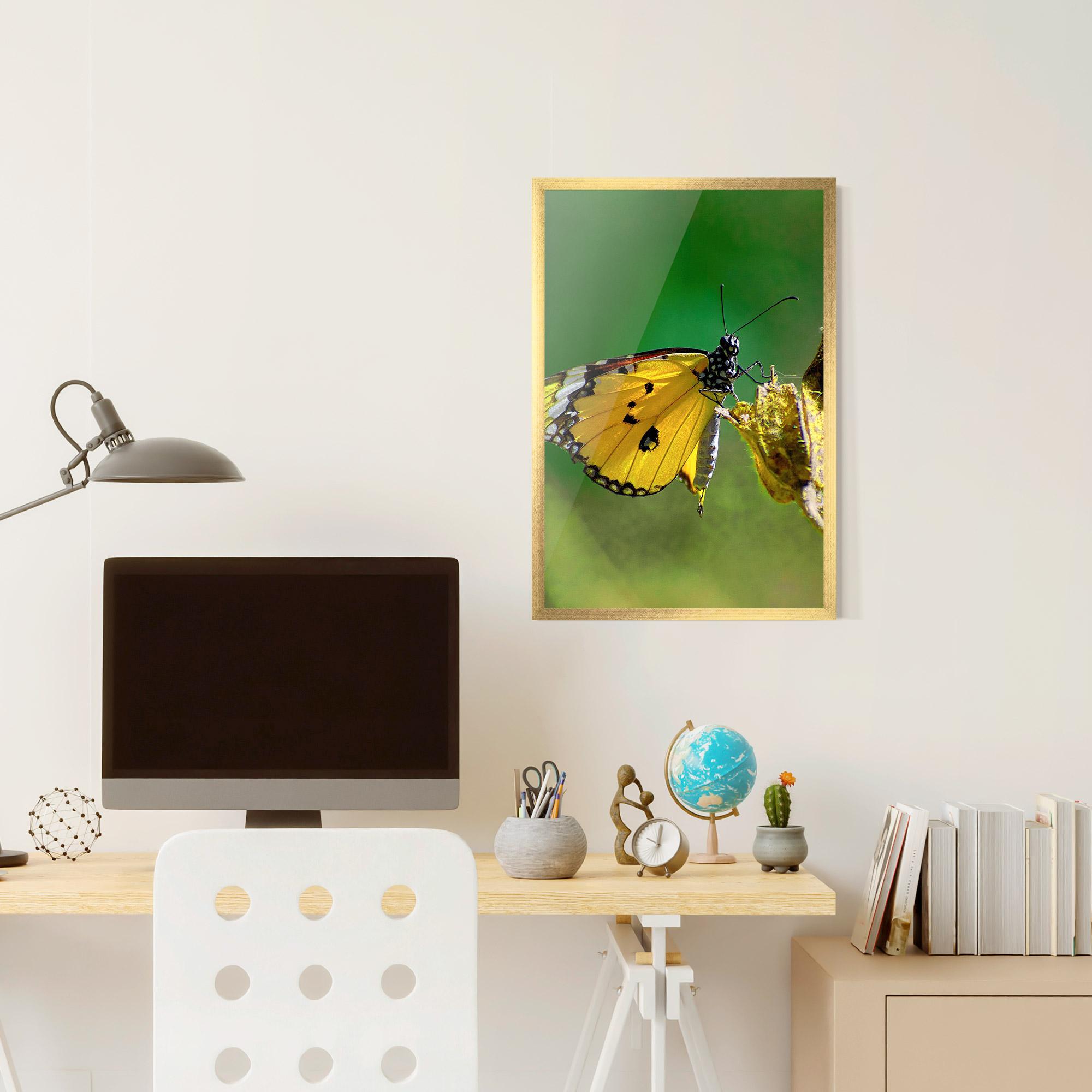 Poster Înrămat Yellow White Butterfly mockup 6