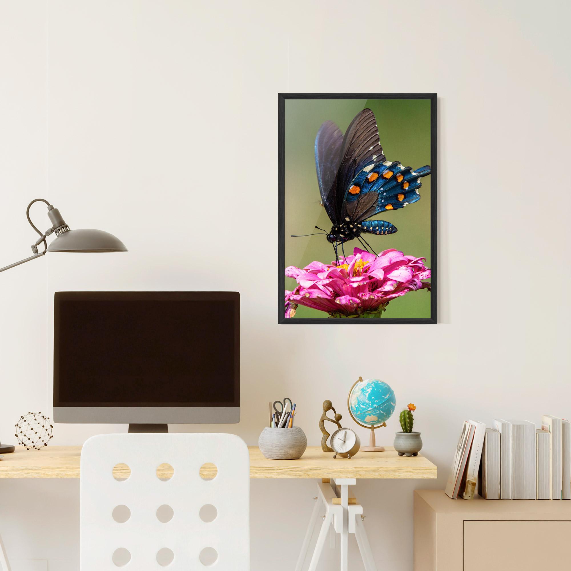 Poster Înrămat Blue Grey Butterfly mockup 6