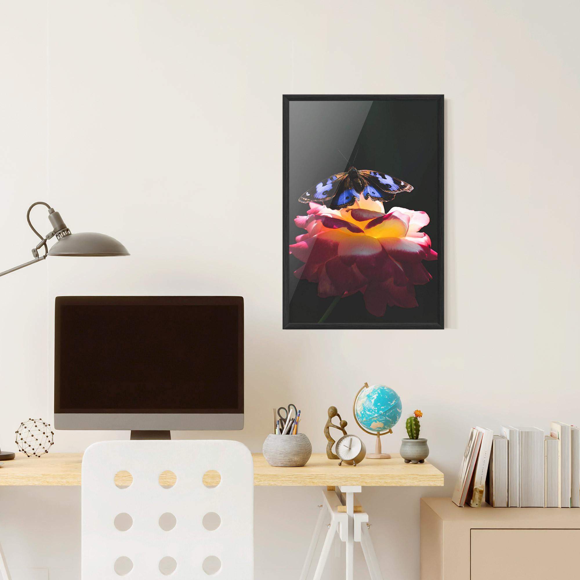Poster Înrămat Rose Butterfly mockup 6