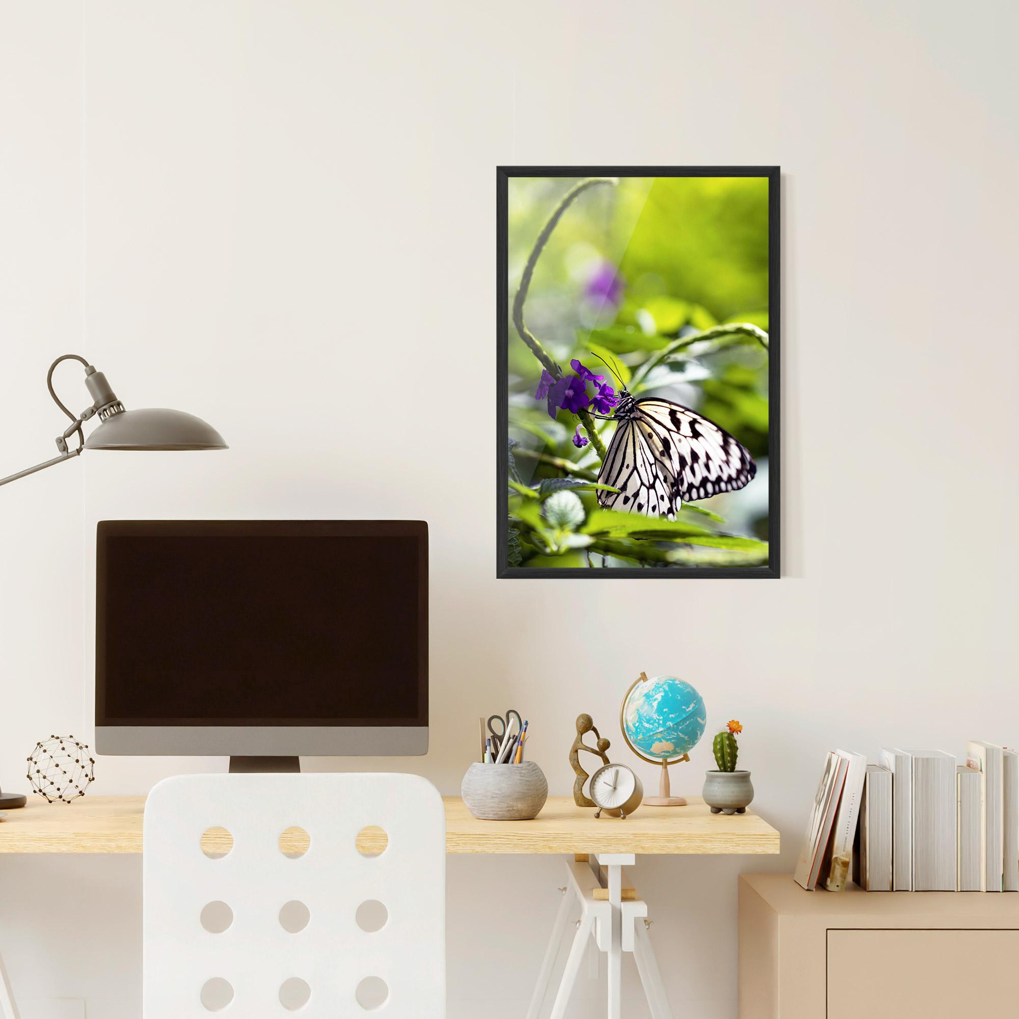 Poster Înrămat White Black Butterfly mockup 6