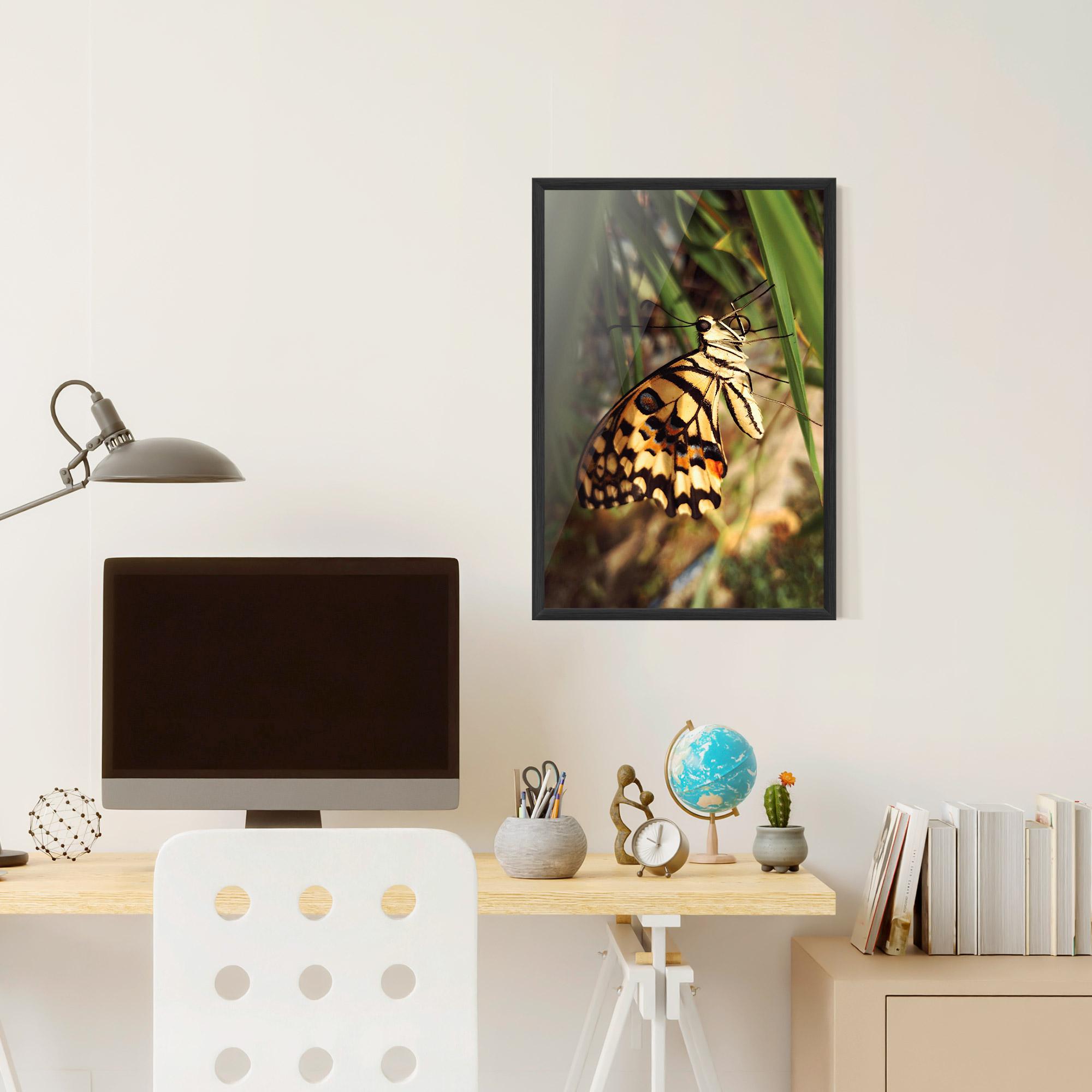 Poster Înrămat Wild Brown Butterfly mockup 6