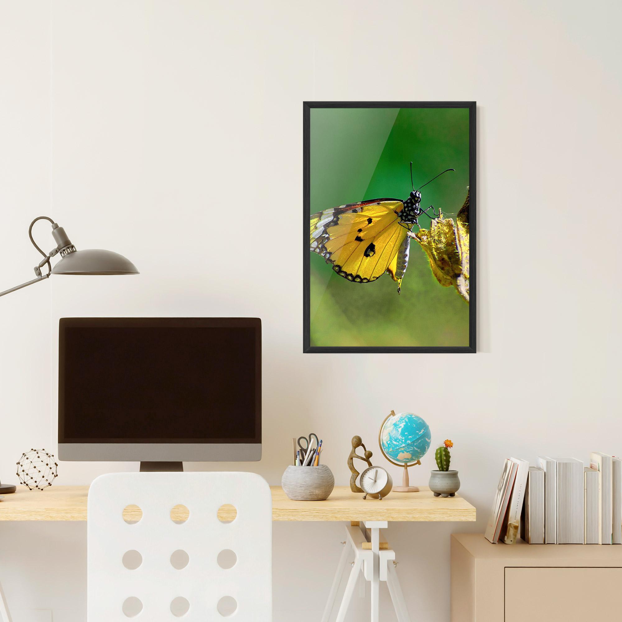 Poster Înrămat Yellow White Butterfly mockup 6