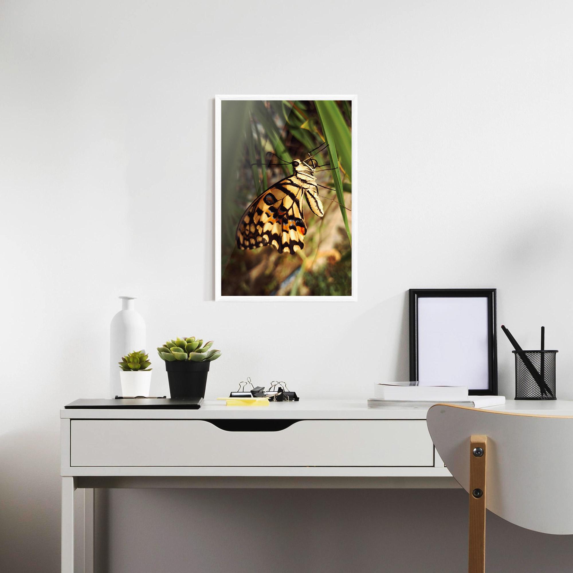 Poster Înrămat Wild Brown Butterfly mockup 7