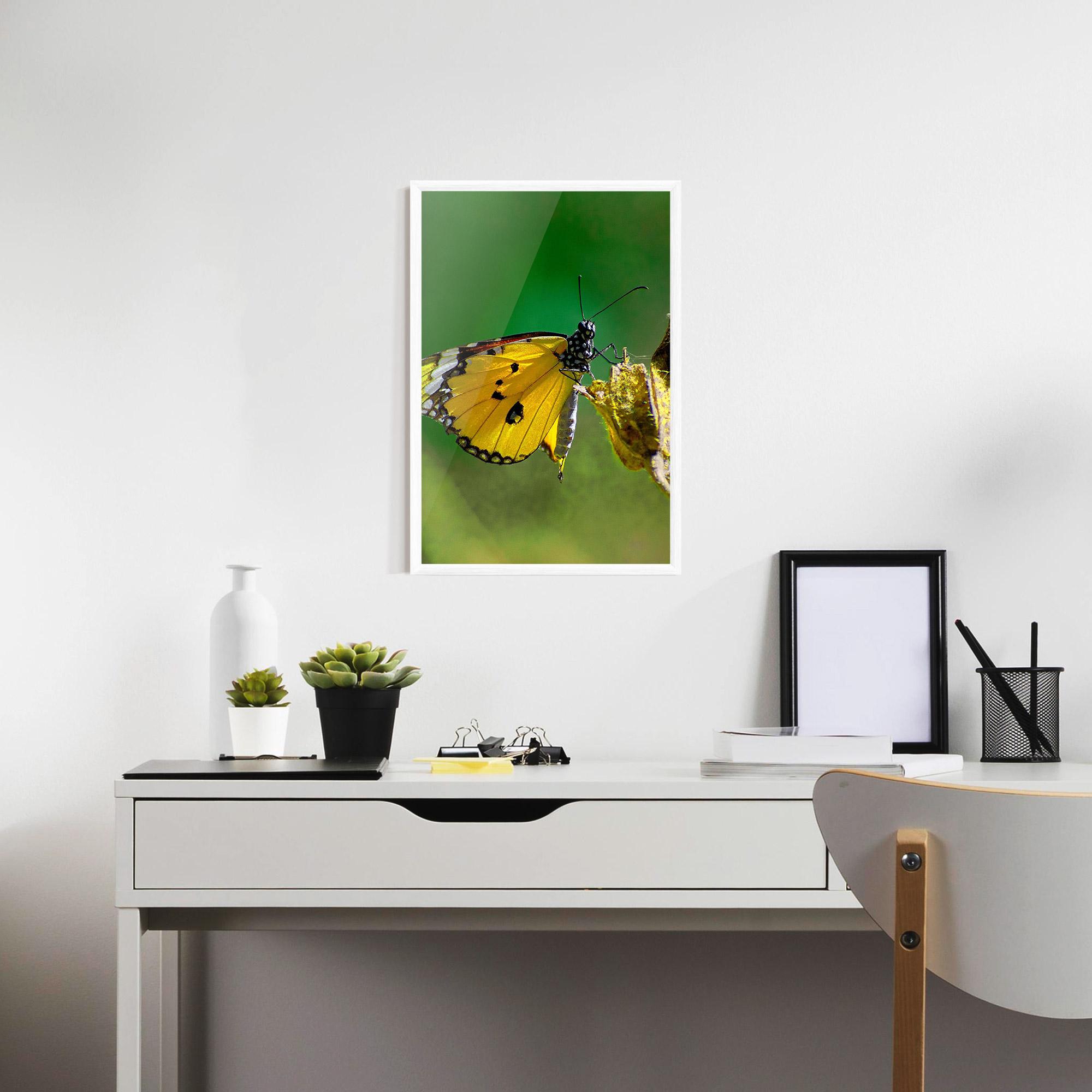 Poster Înrămat Yellow White Butterfly mockup 7