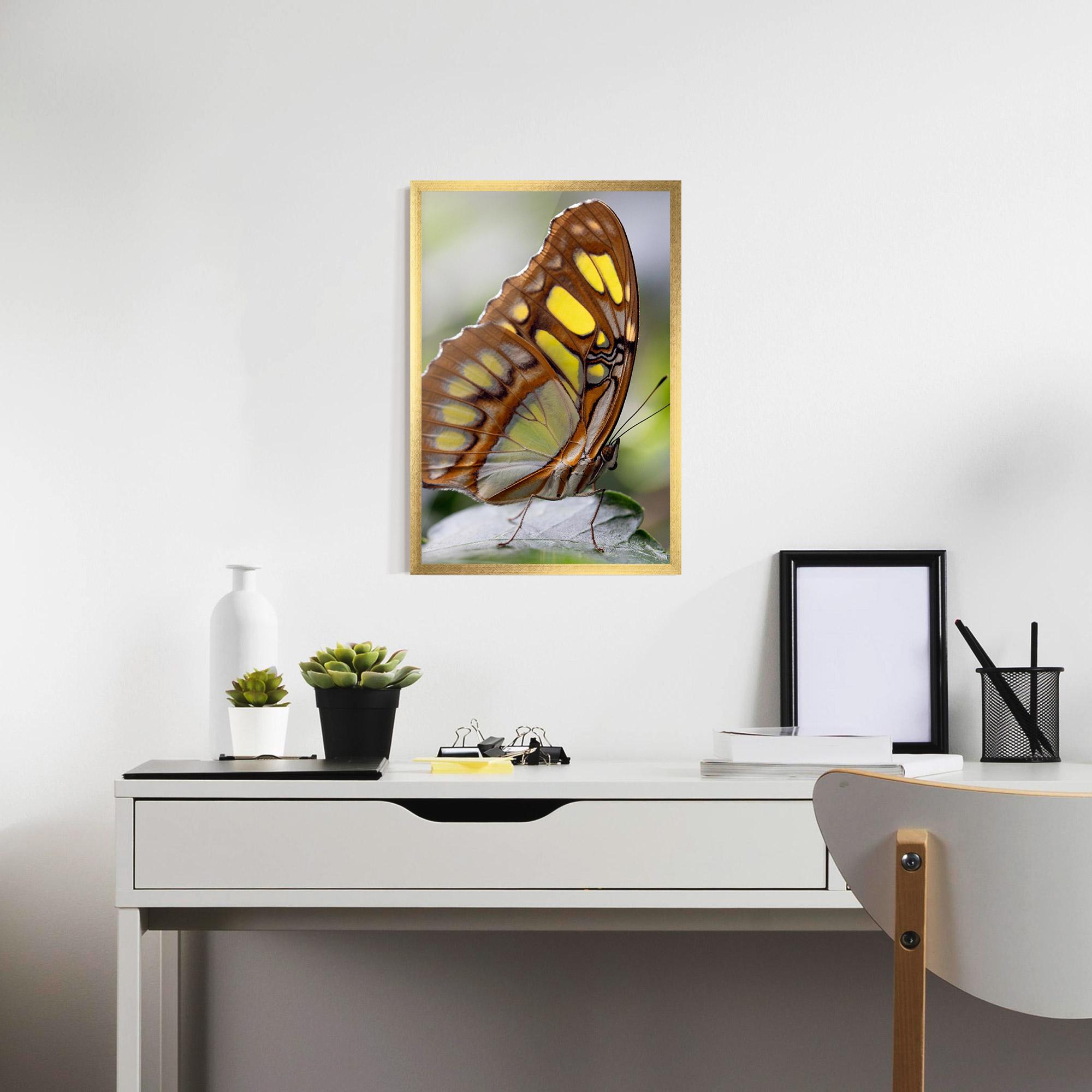 Poster Înrămat Brown Yellow Butterfly mockup 7