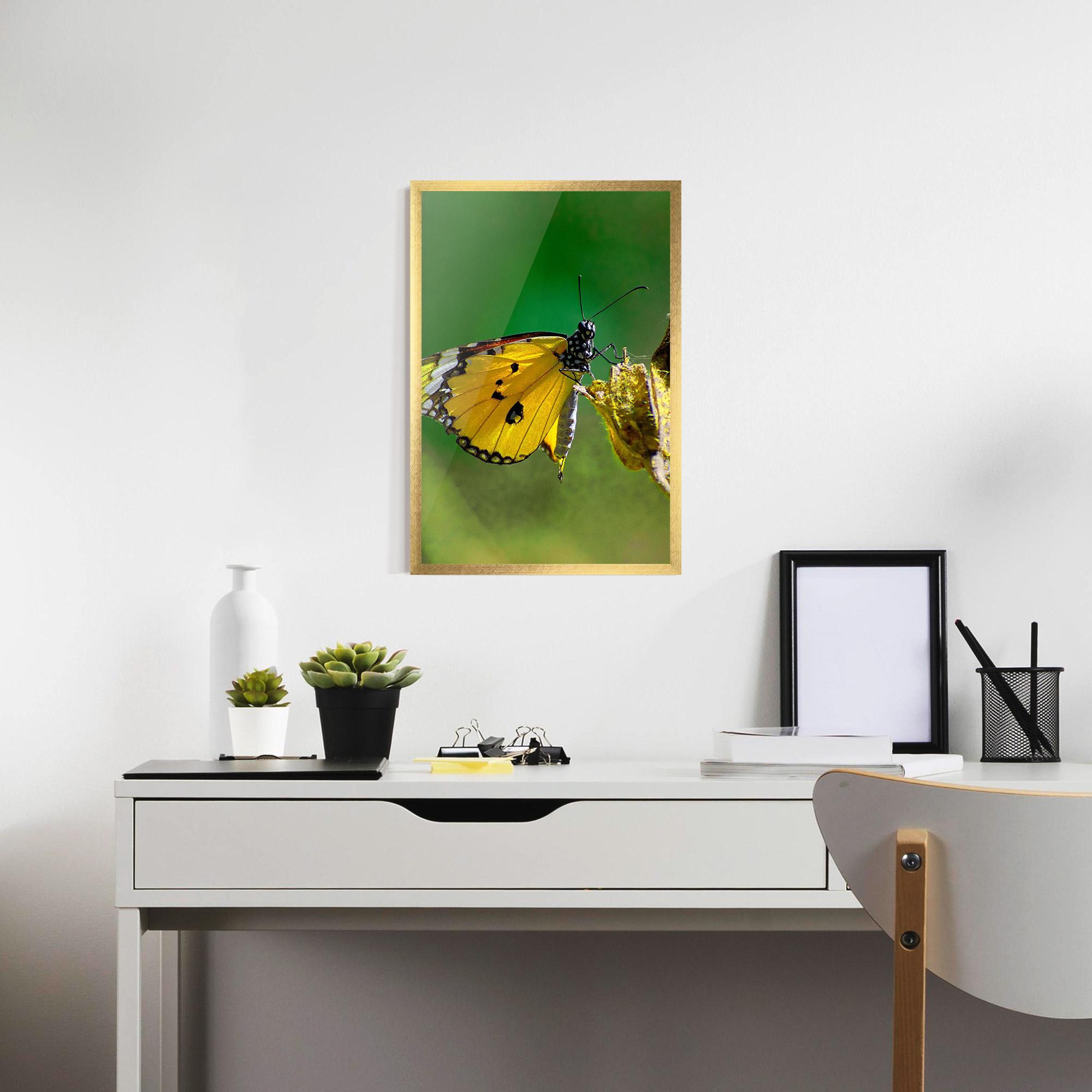 Poster Înrămat Yellow White Butterfly mockup 7