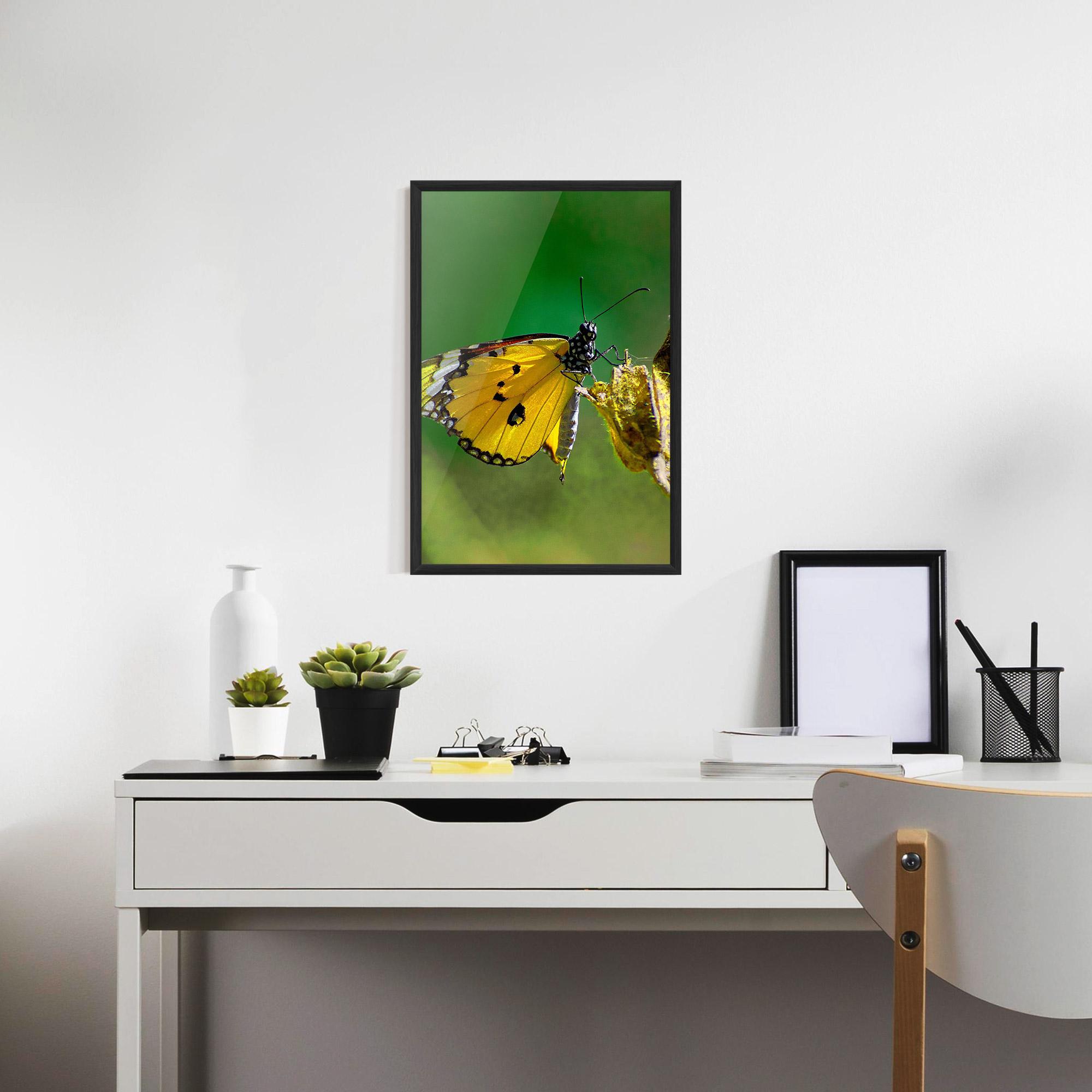 Poster Înrămat Yellow White Butterfly mockup 7
