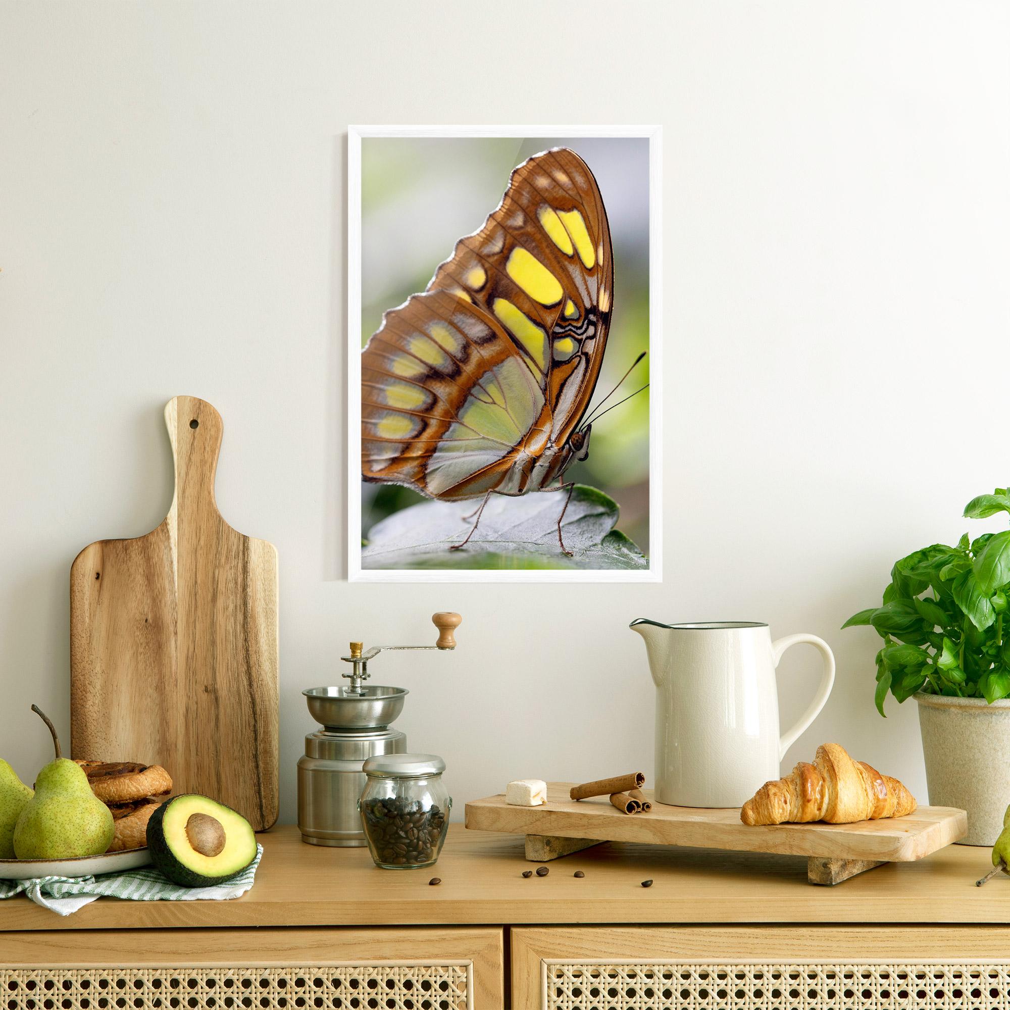 Poster Înrămat Brown Yellow Butterfly mockup 8