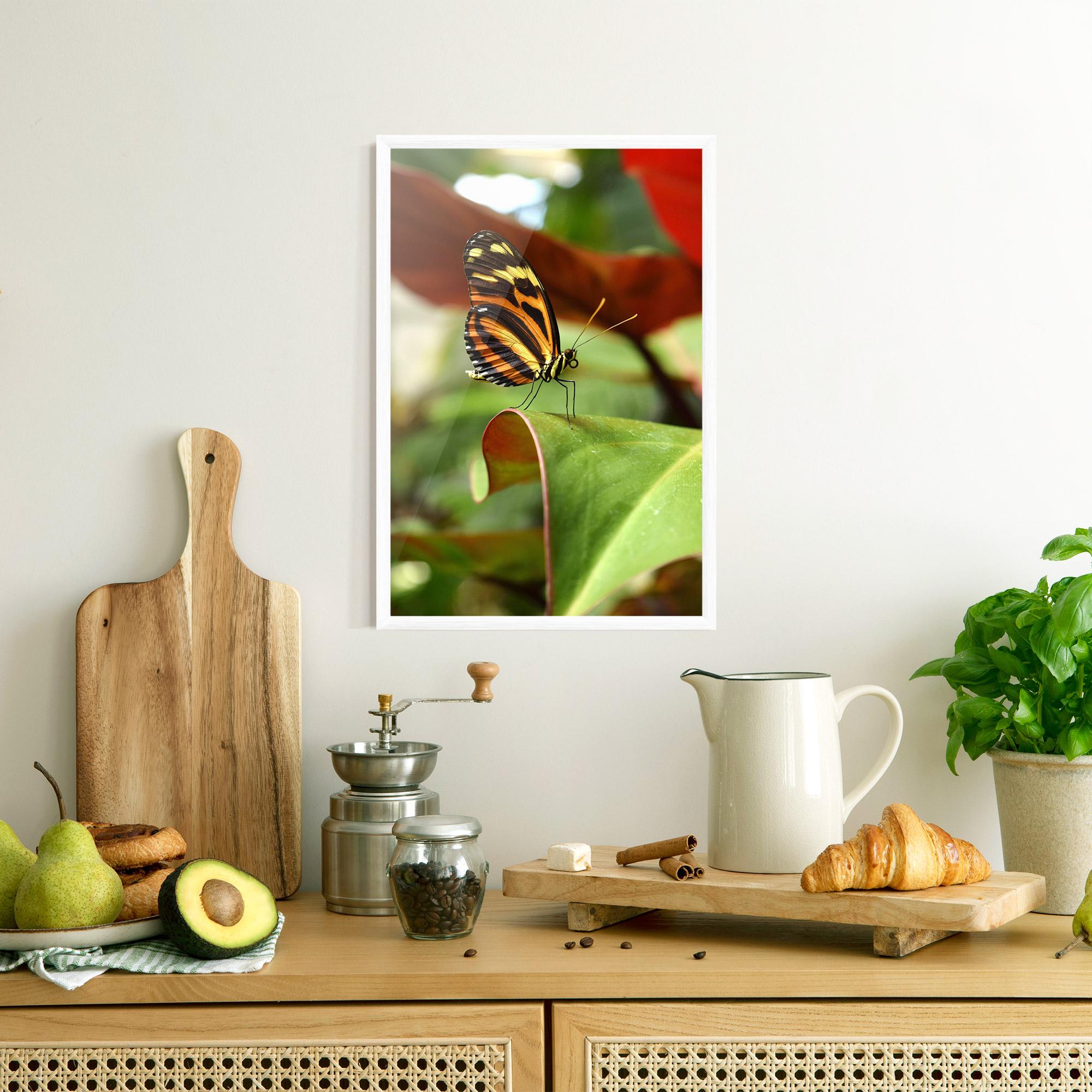 Poster Înrămat Orange Yellow Butterfly mockup 8