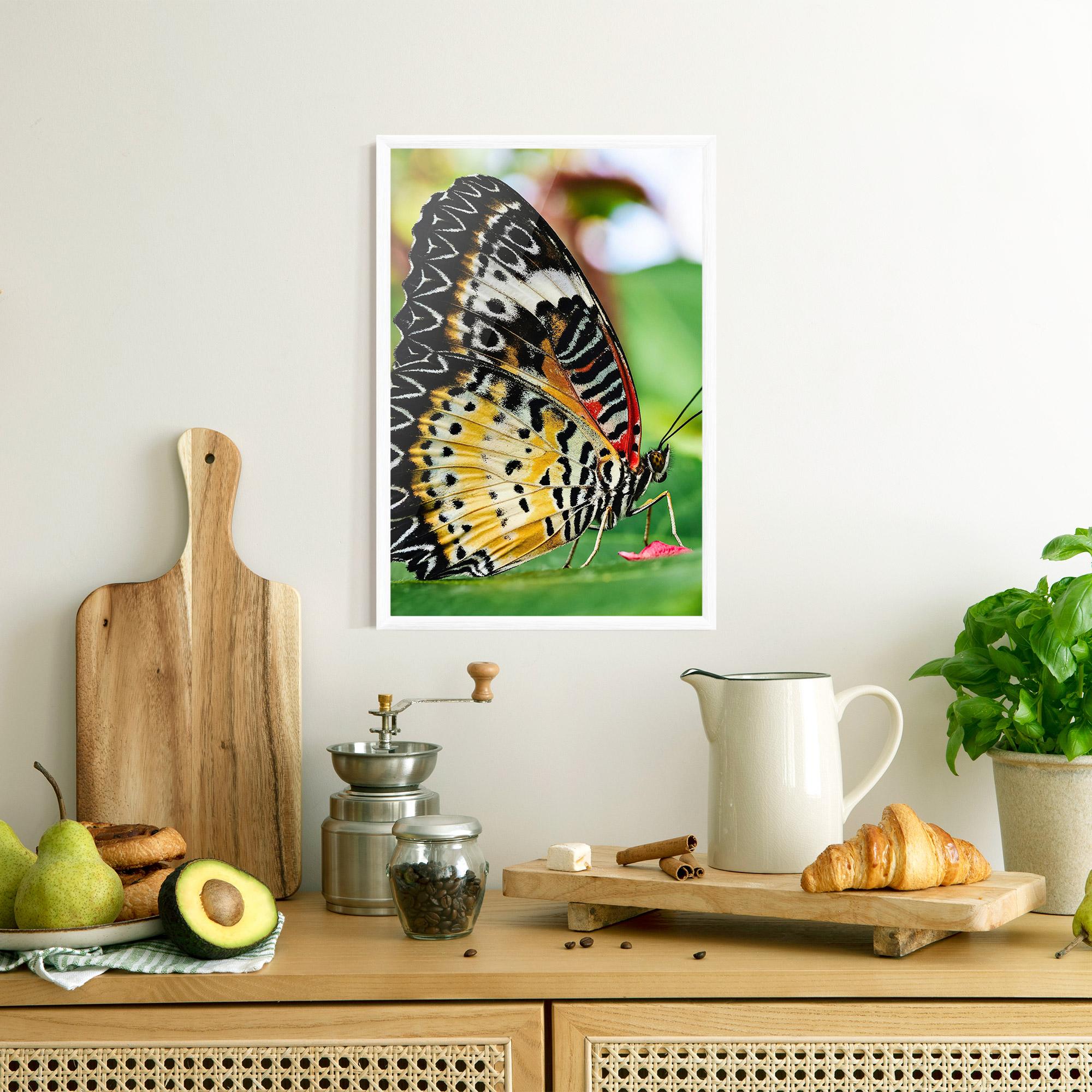 Poster Înrămat Pretty Colorful Butterfly mockup 8