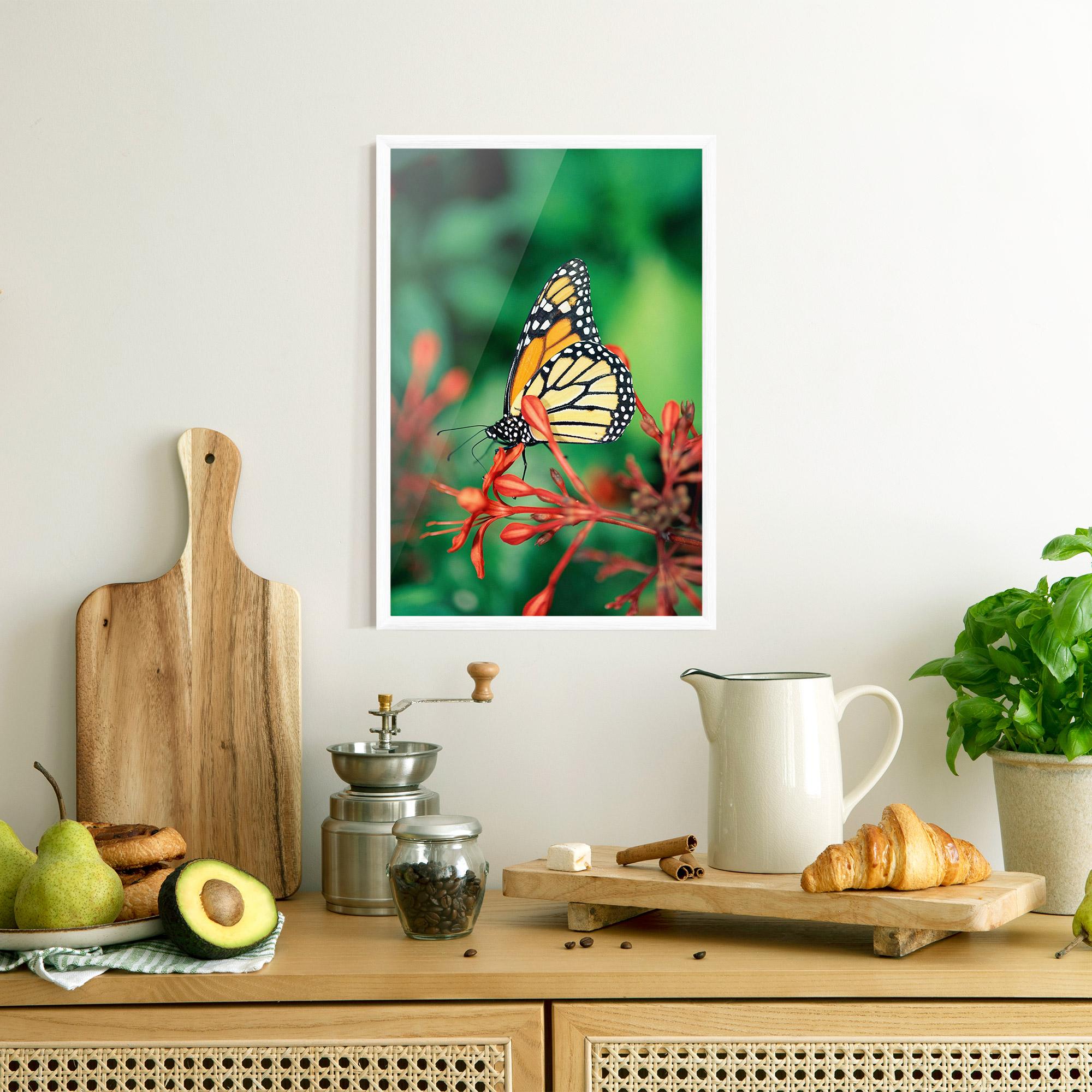 Poster Înrămat Small Orange Butterfly mockup 8