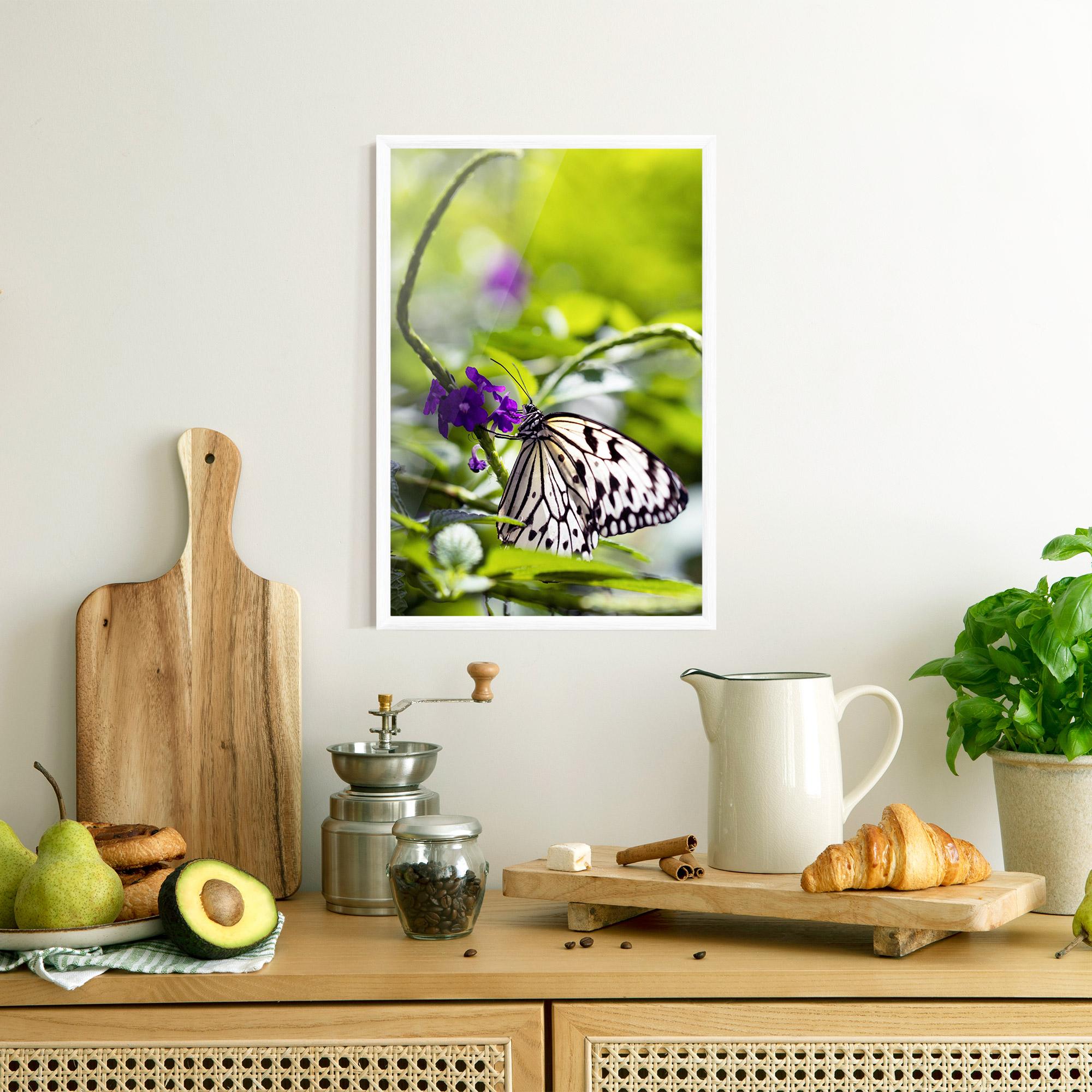 Poster Înrămat White Black Butterfly mockup 8