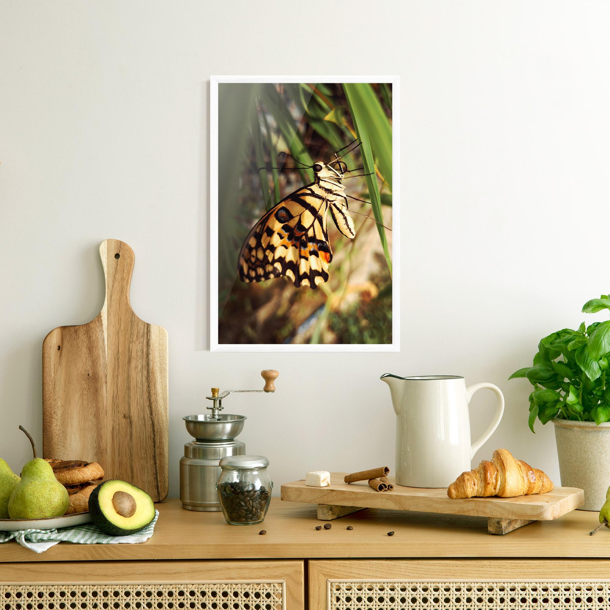 Poster Înrămat Wild Brown Butterfly mockup 8