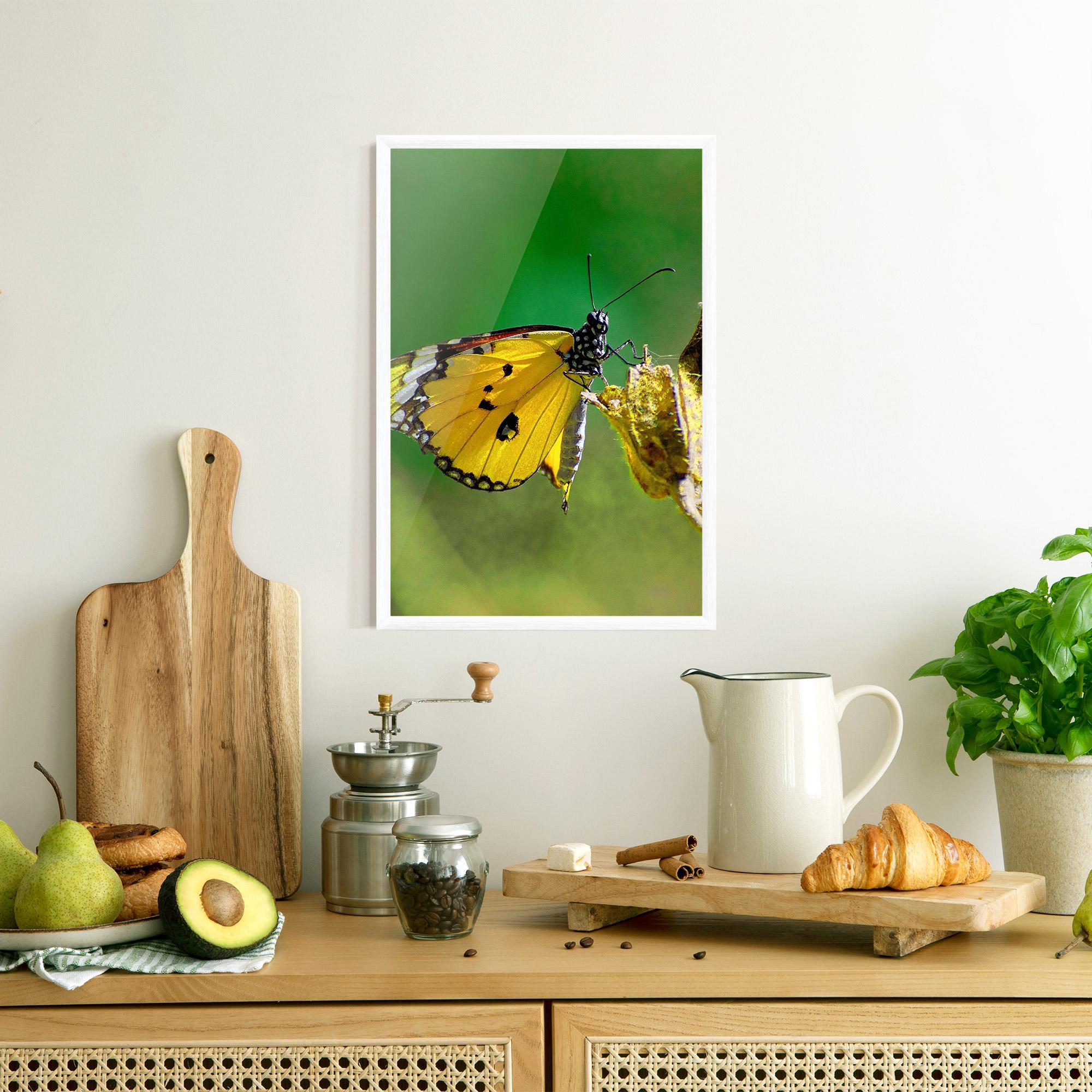 Poster Înrămat Yellow White Butterfly mockup 8