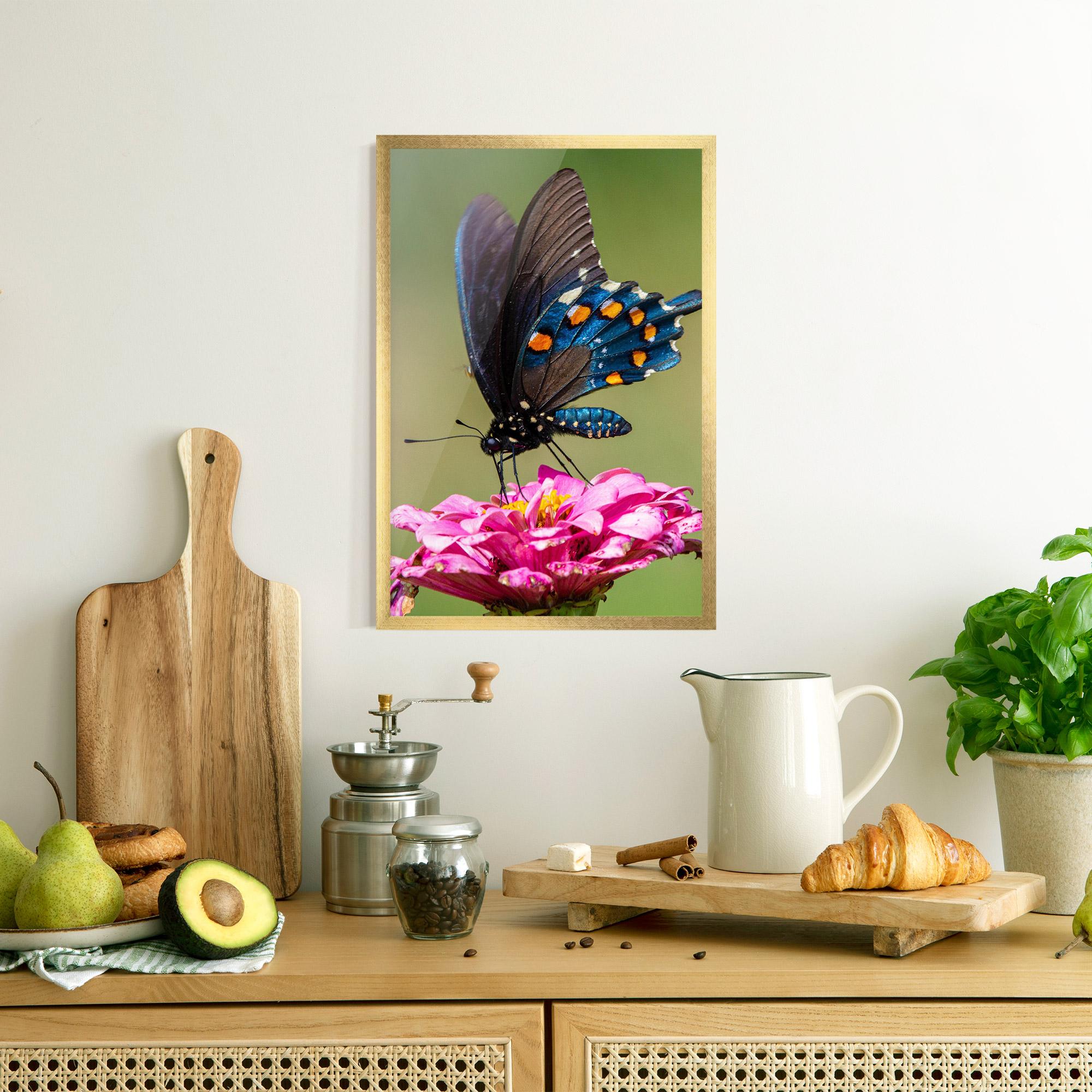 Poster Înrămat Blue Grey Butterfly mockup 8