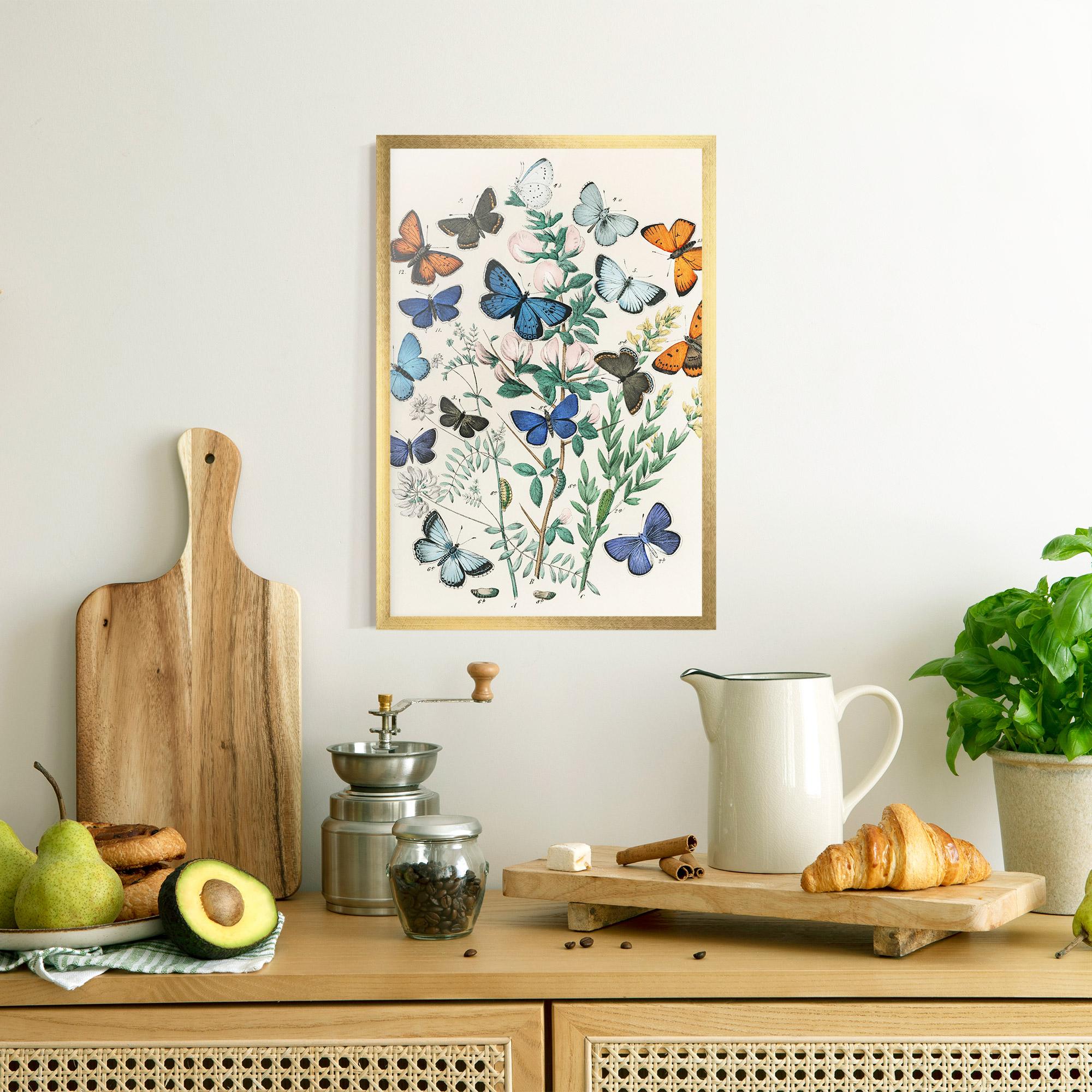 Poster Înrămat Blue Orange Butterflies mockup 8