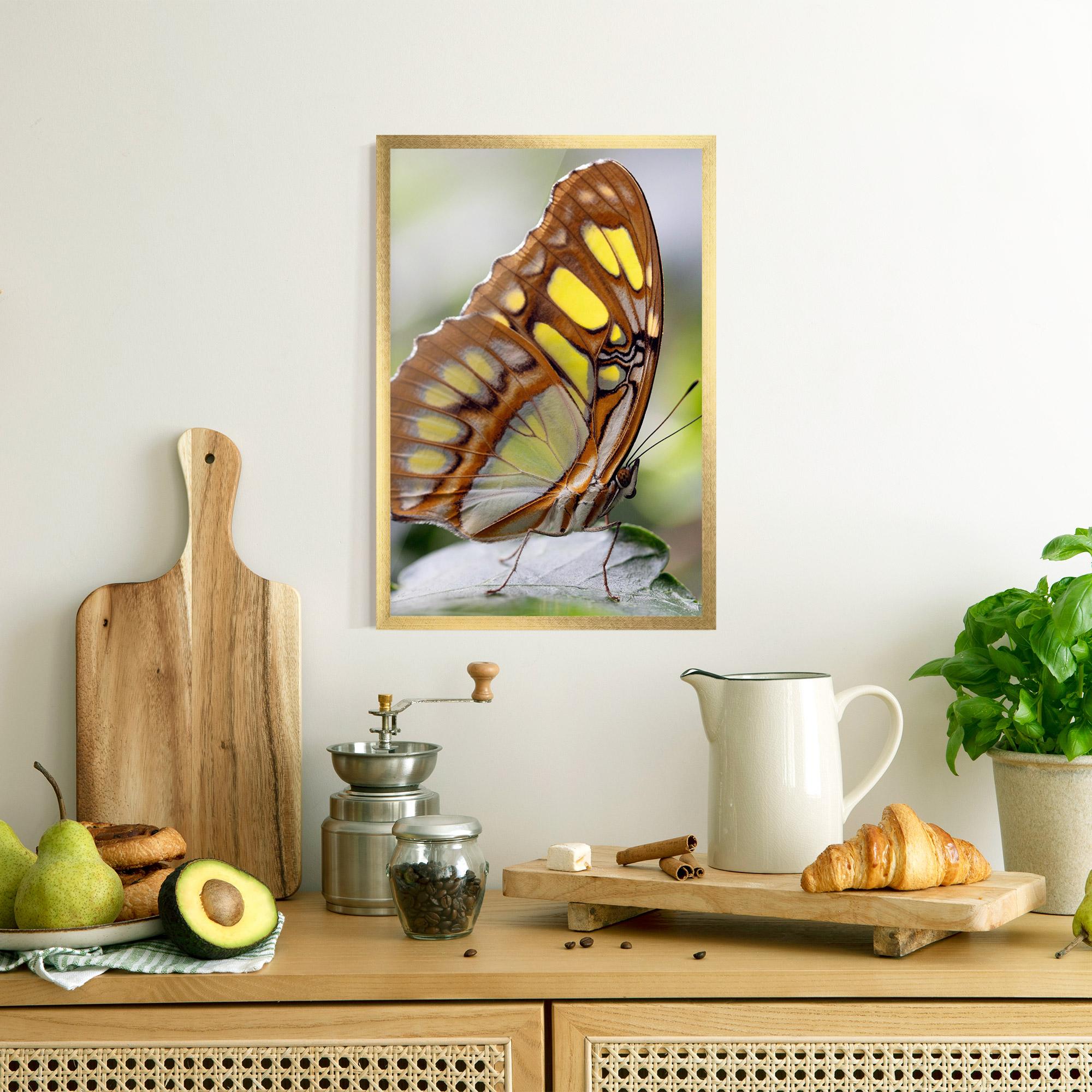 Poster Înrămat Brown Yellow Butterfly mockup 8