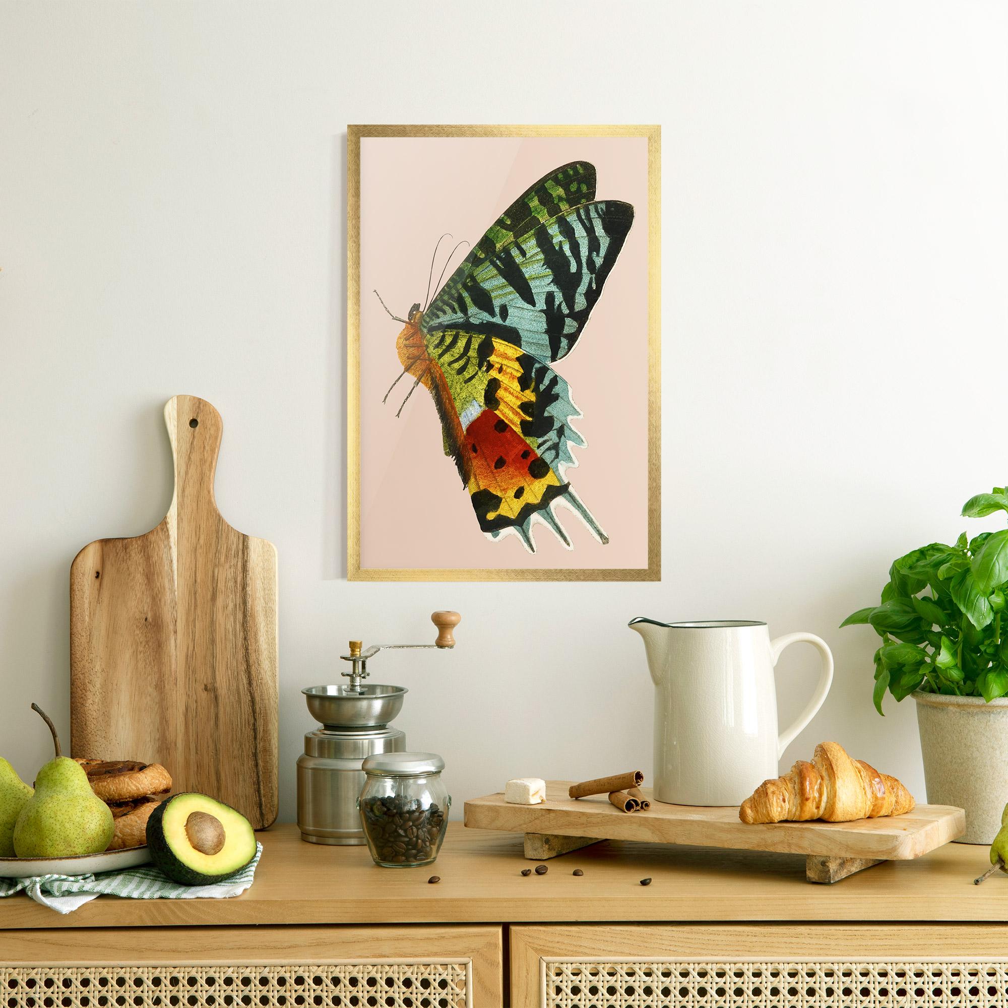 Poster Înrămat Butterfly On Pink mockup 8