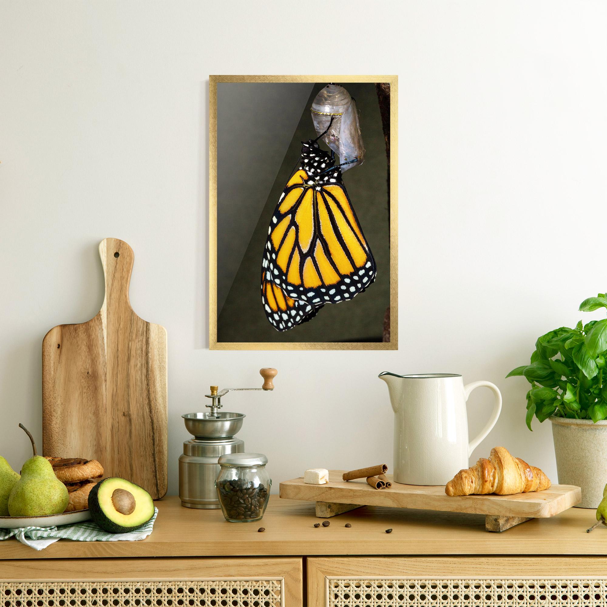 Poster Înrămat Dark Yellow Butterfly mockup 8