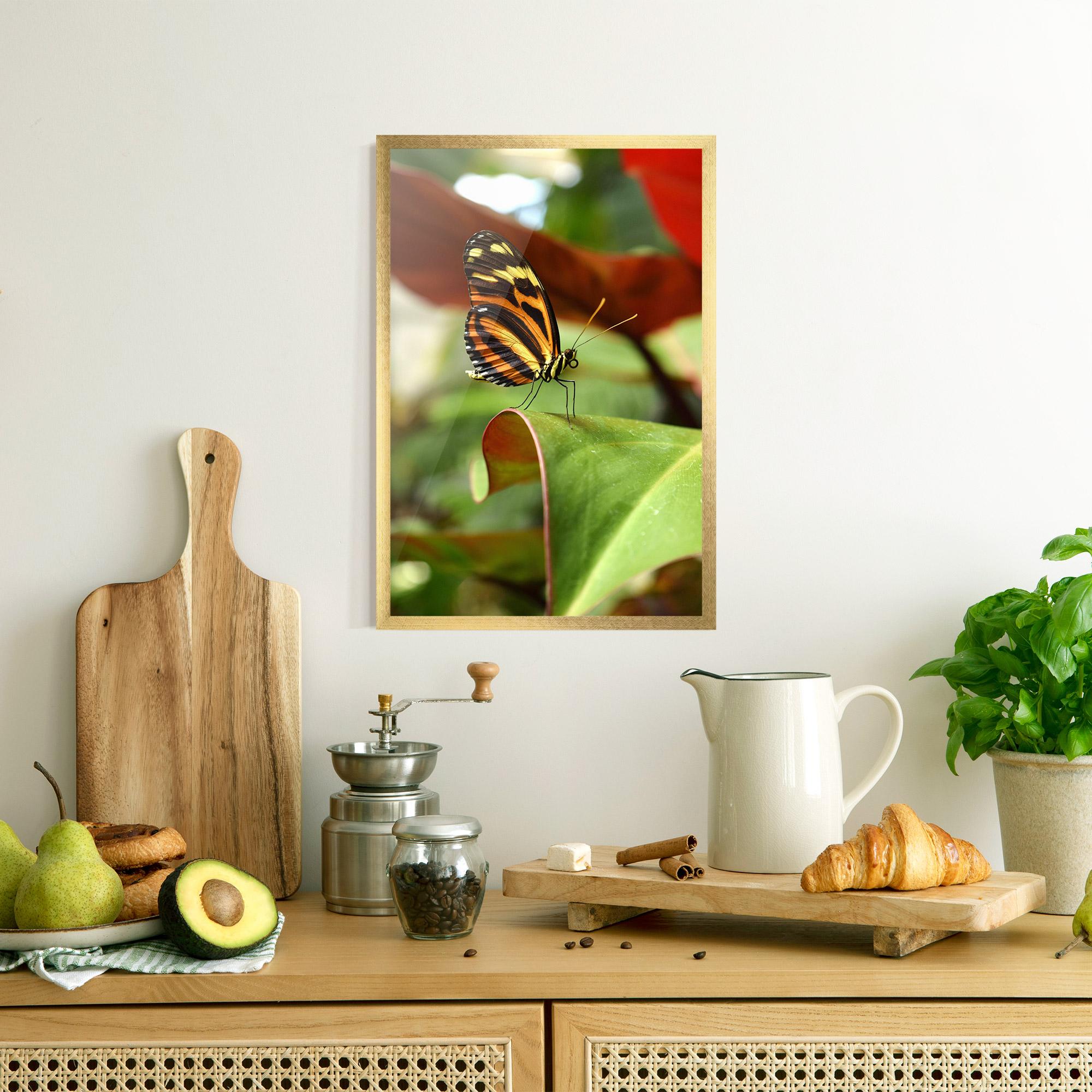 Poster Înrămat Orange Yellow Butterfly mockup 8