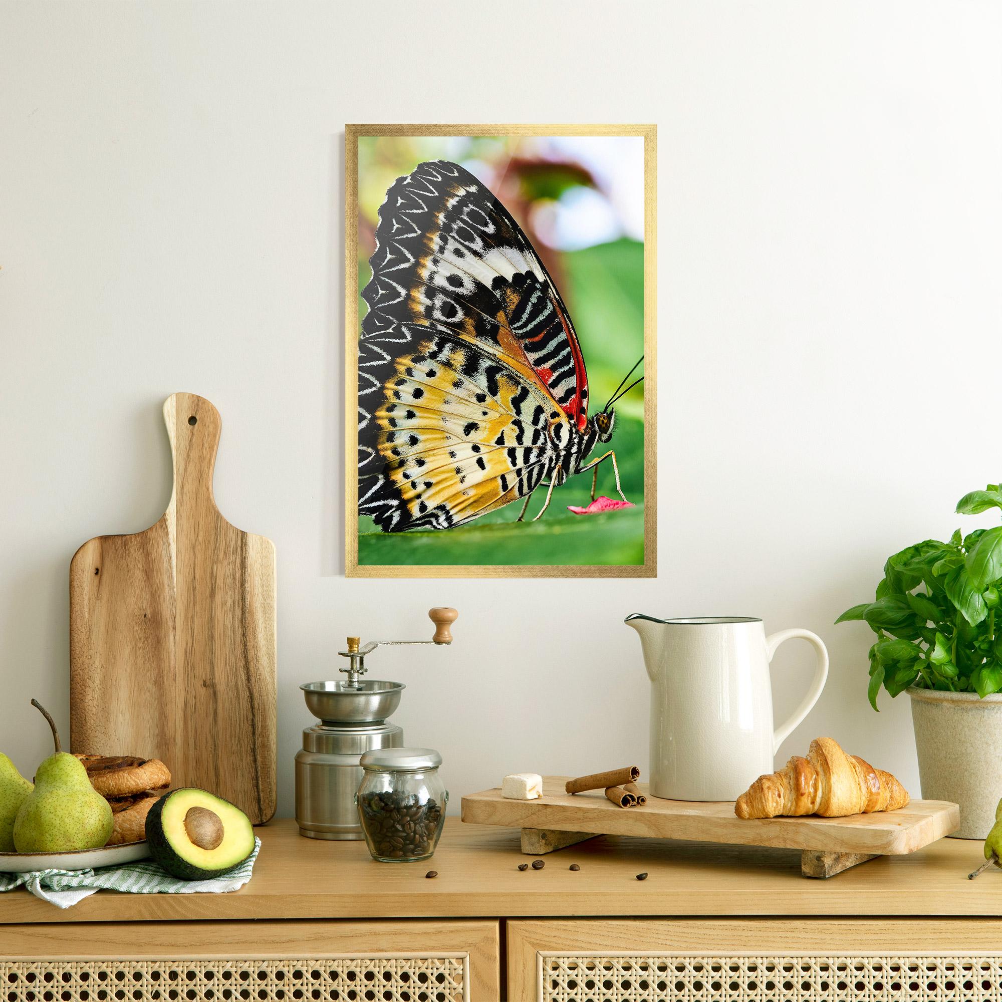 Poster Înrămat Pretty Colorful Butterfly mockup 8