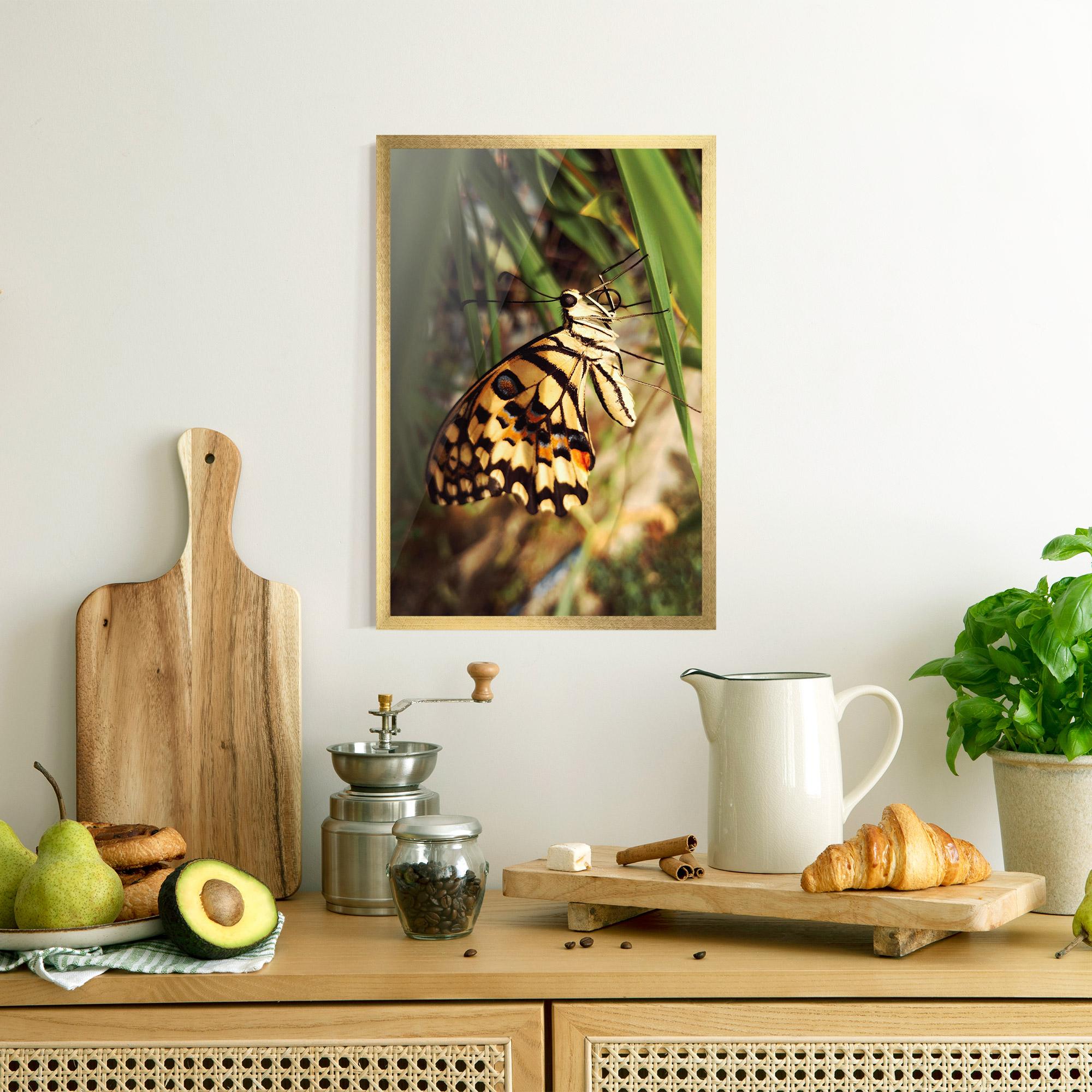 Poster Înrămat Wild Brown Butterfly mockup 8