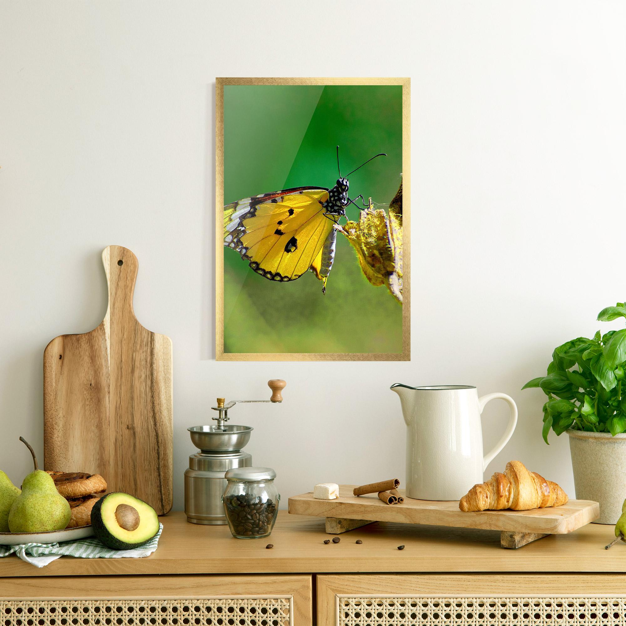 Poster Înrămat Yellow White Butterfly mockup 8