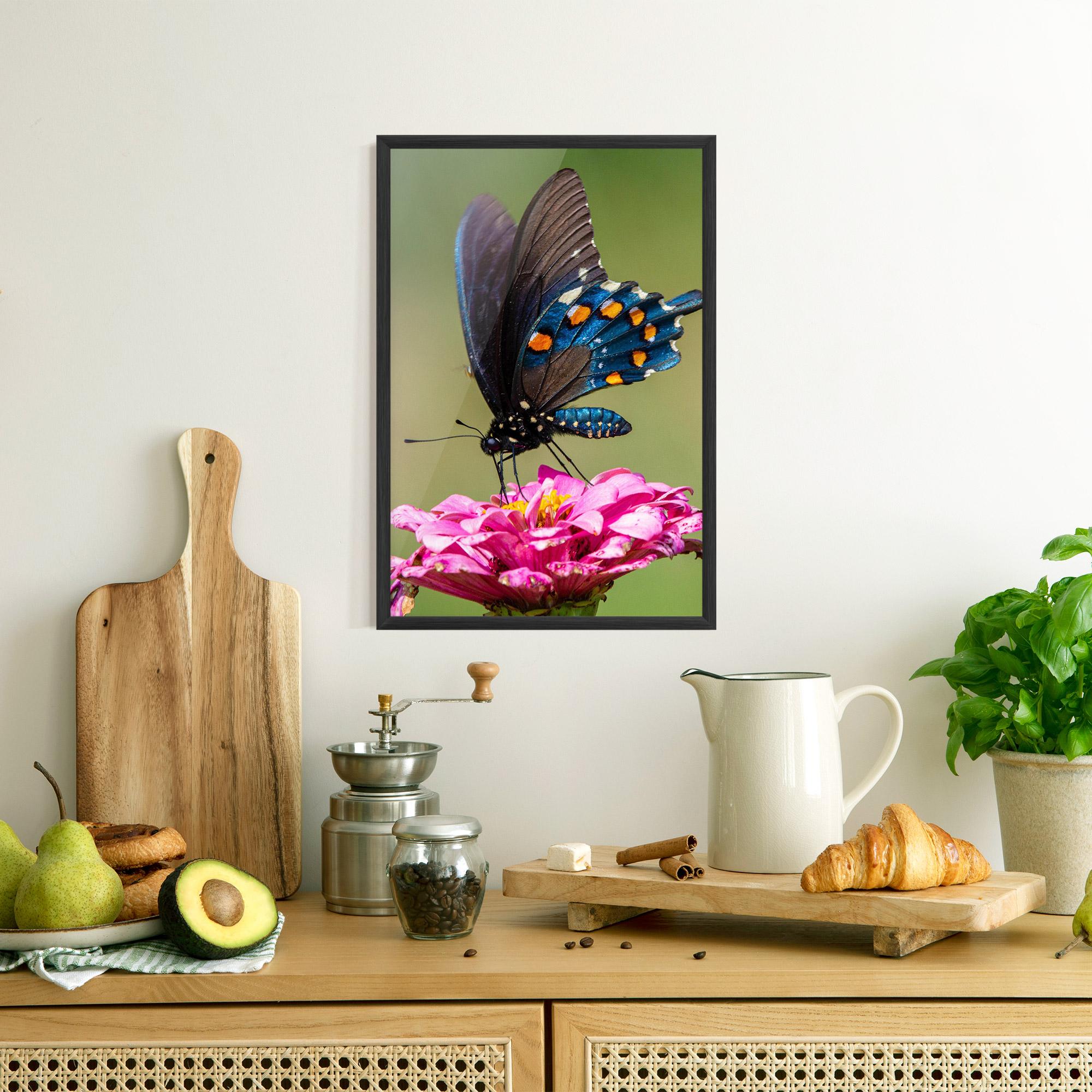 Poster Înrămat Blue Grey Butterfly mockup 8