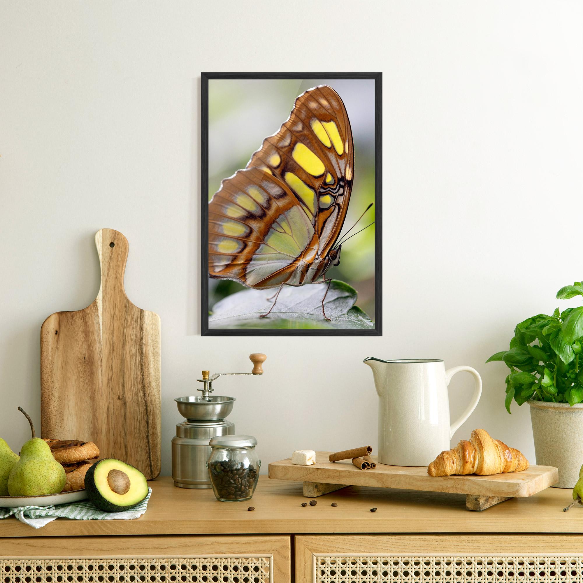 Poster Înrămat Brown Yellow Butterfly mockup 8
