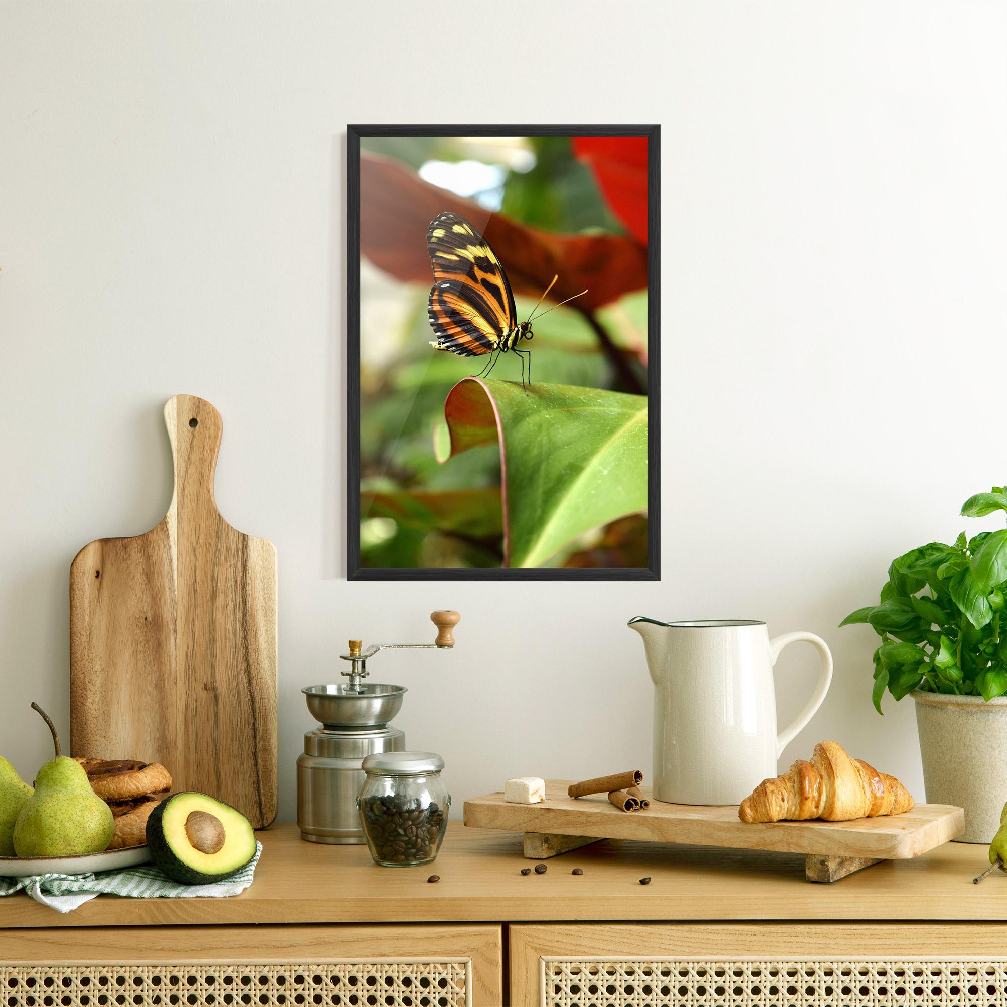 Poster Înrămat Orange Yellow Butterfly mockup 8