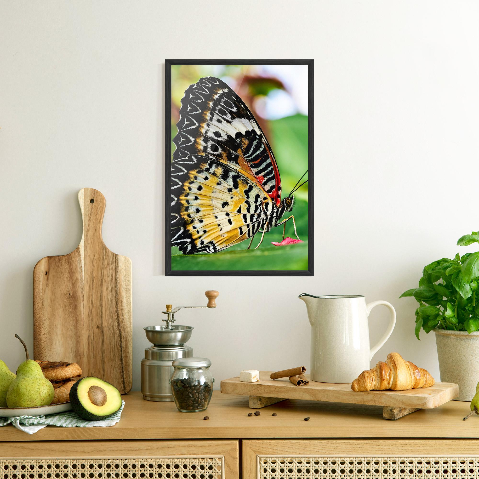 Poster Înrămat Pretty Colorful Butterfly mockup 8
