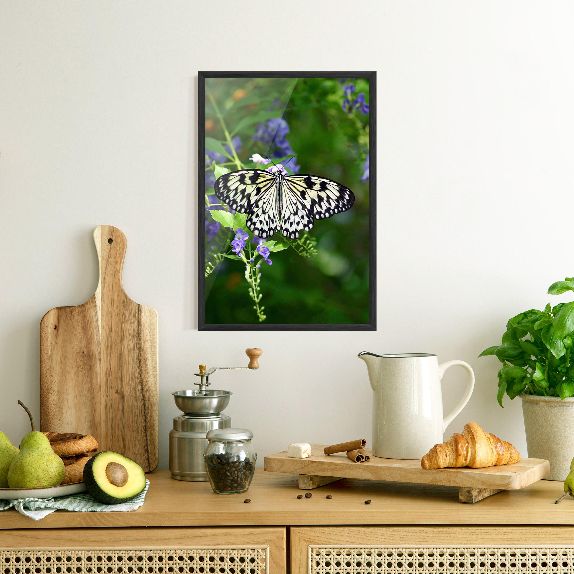 Poster Înrămat Pretty White Butterfly mockup 8