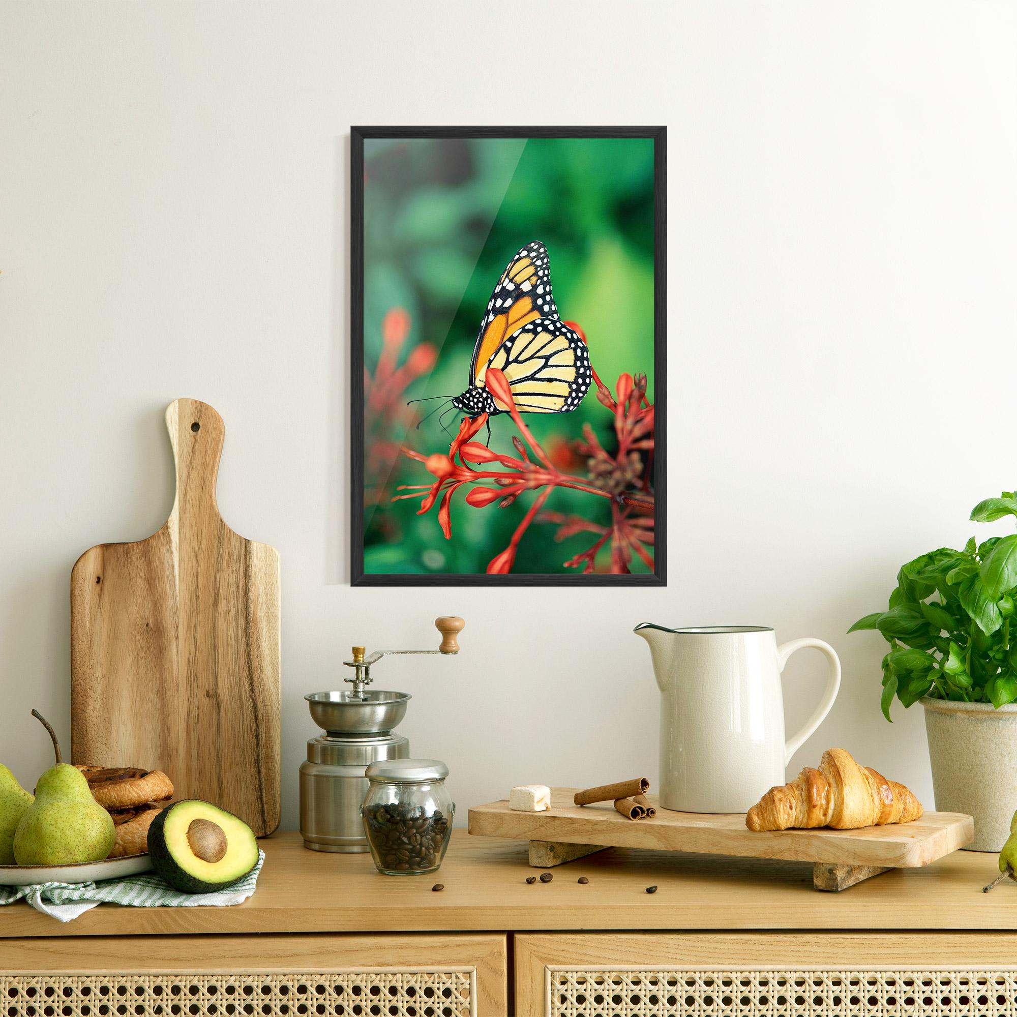 Poster Înrămat Small Orange Butterfly mockup 8