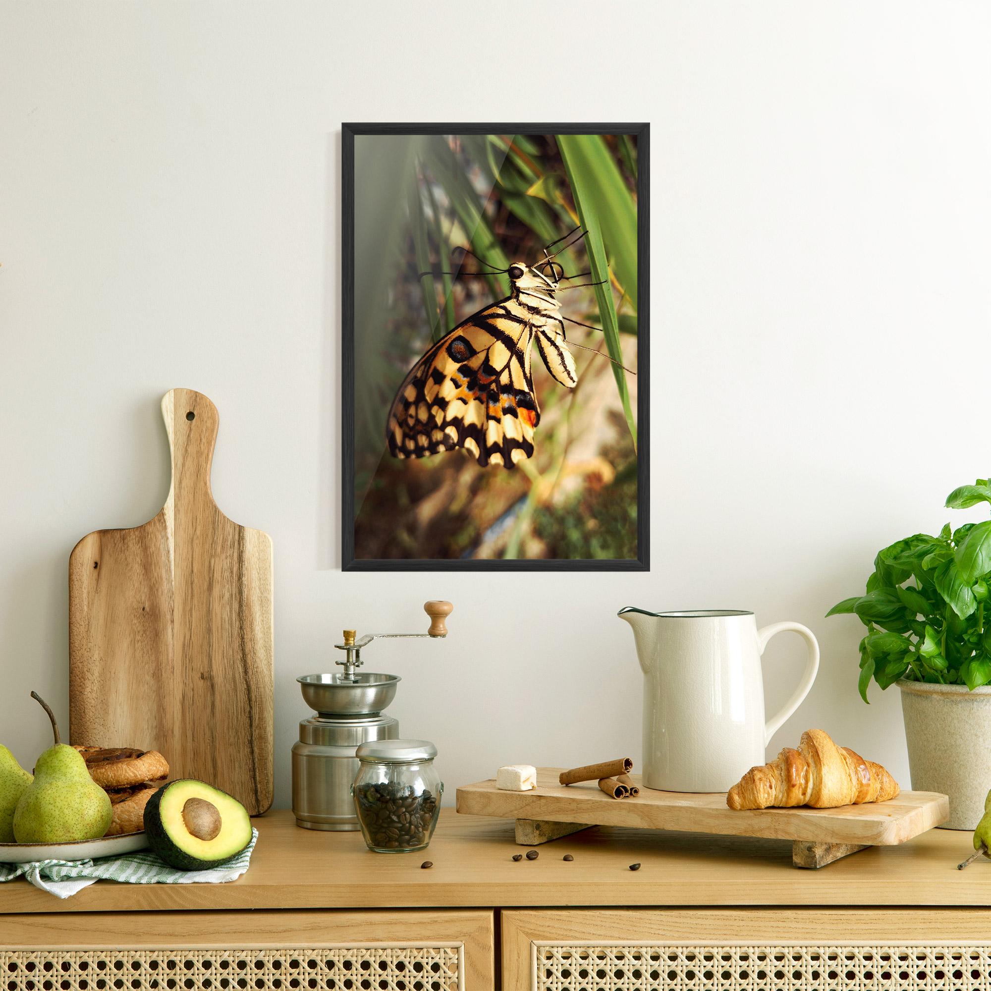 Poster Înrămat Wild Brown Butterfly mockup 8